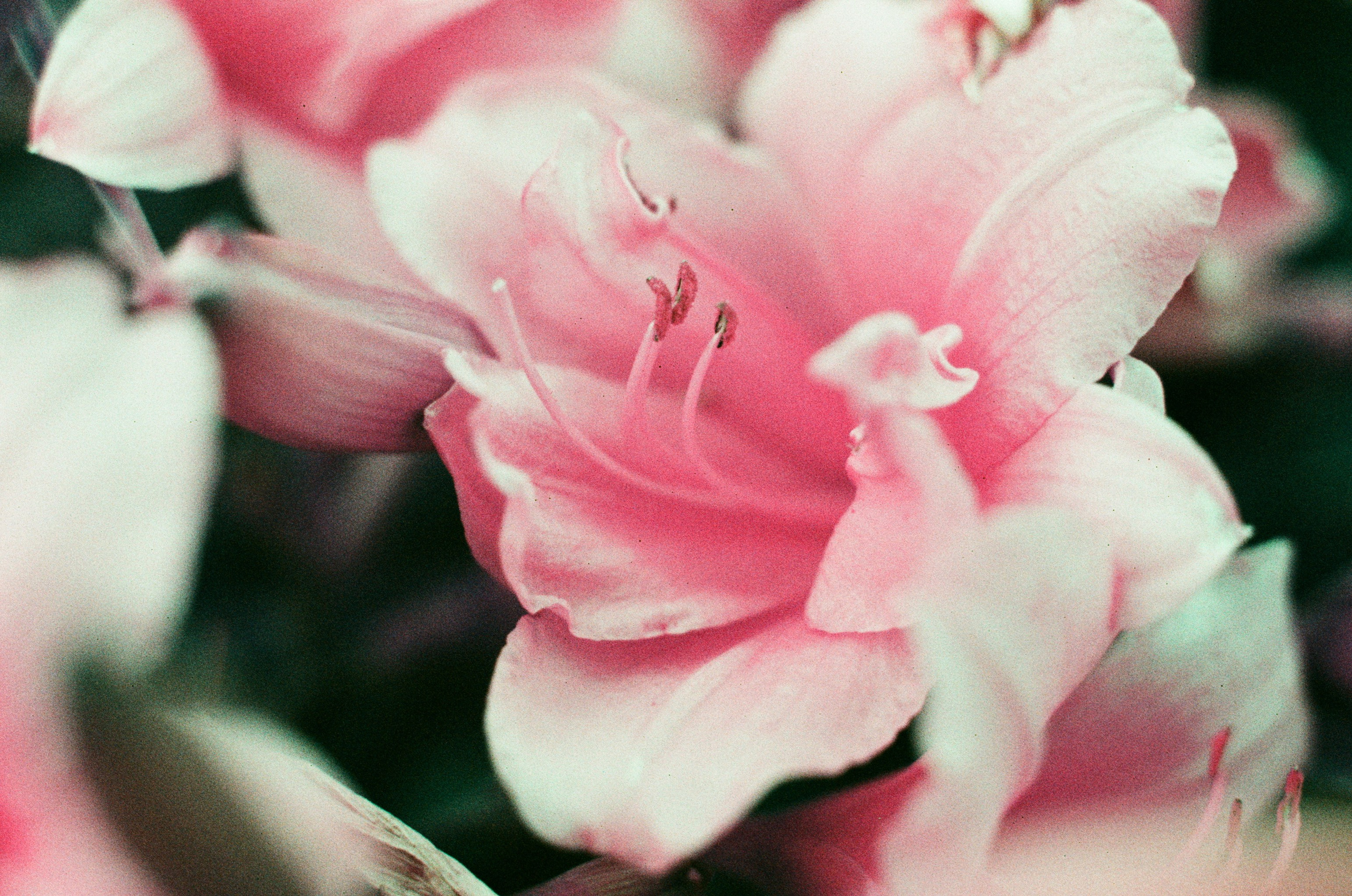 Point of no reply // ukraine, crimea IV. EVER EXPOSED