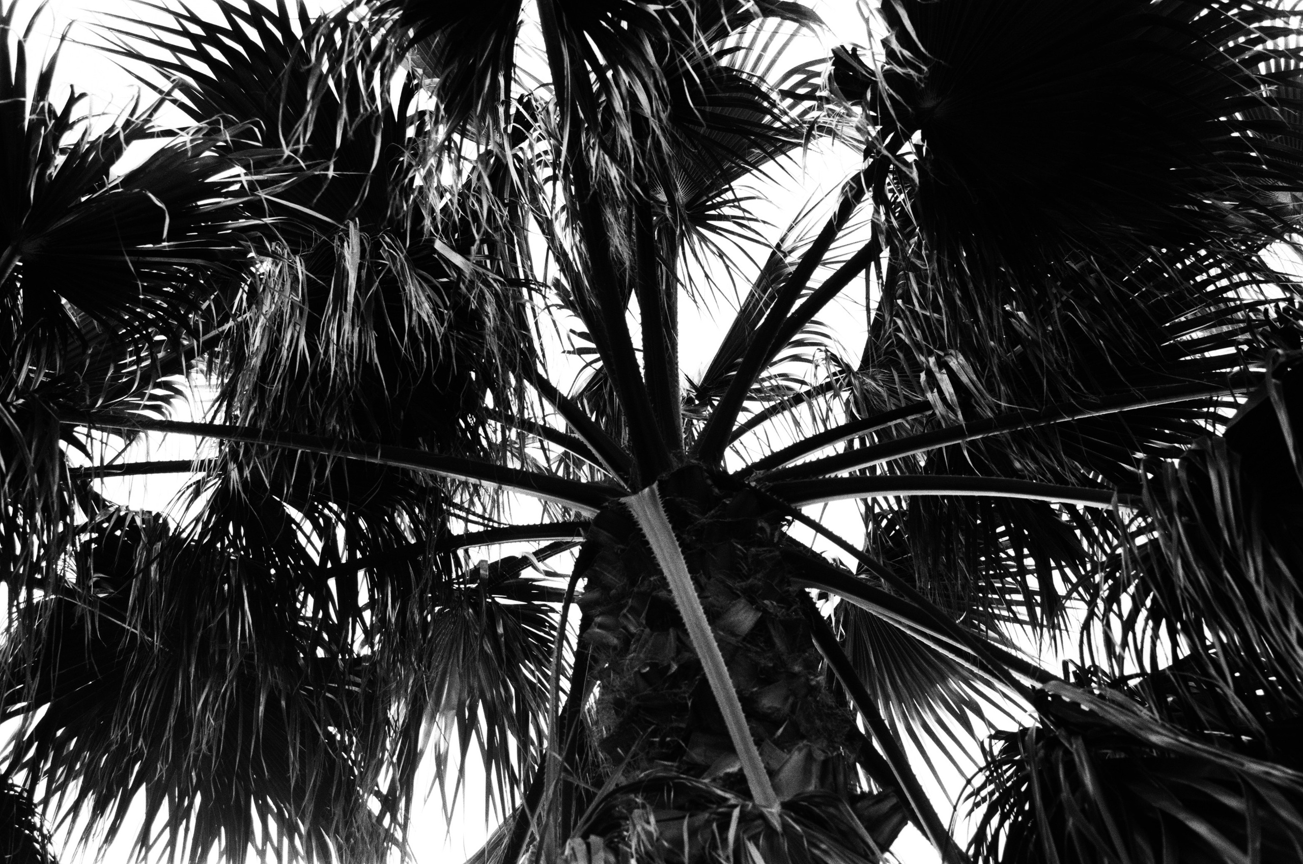 Sparks // ukraine, crimea. EVER EXPOSED