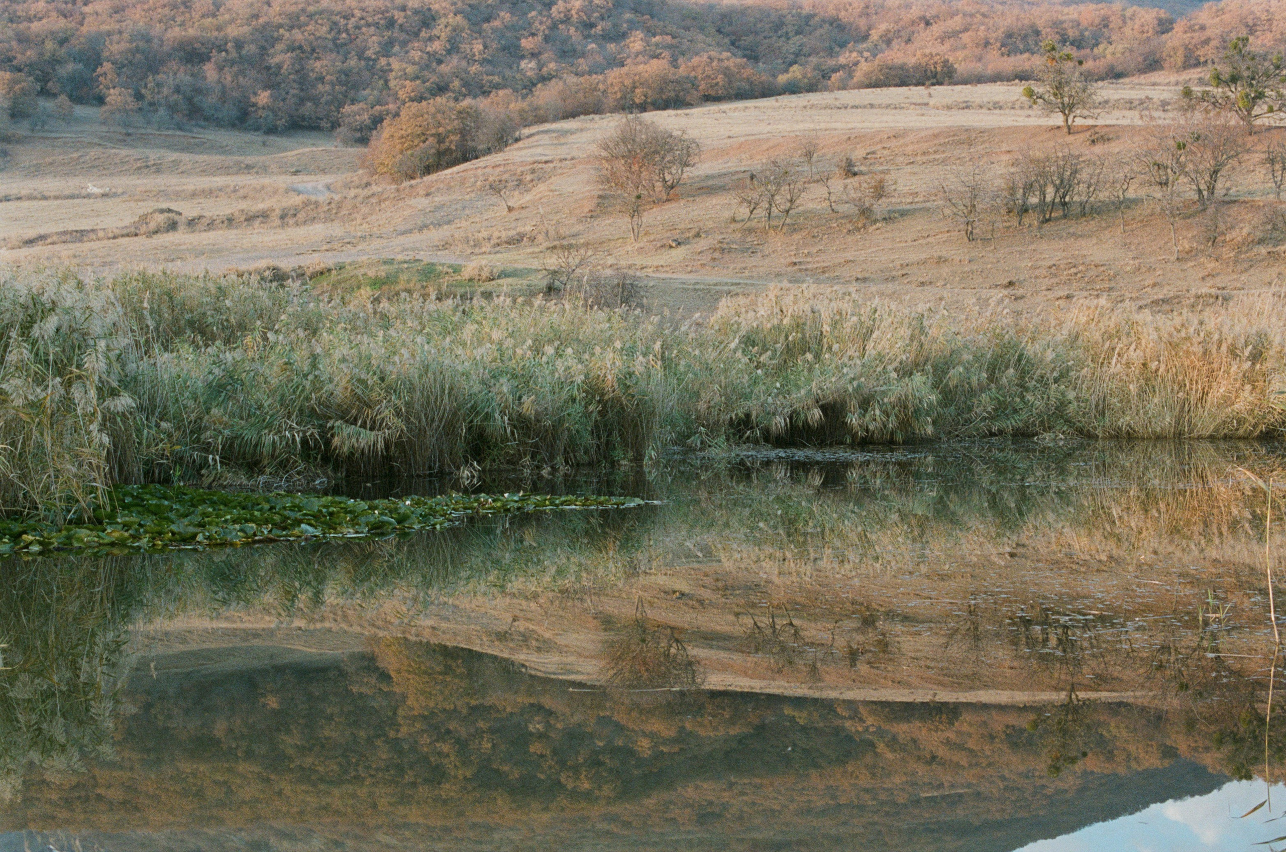 Wherever you will go // ukraine, crimea III. EVER EXPOSED