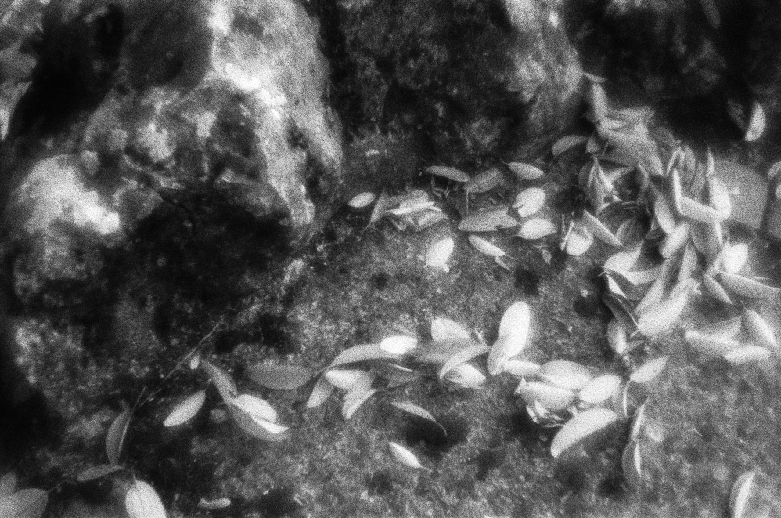 Oblomki chuvstv // ukraine, crimea VI. EVER EXPOSED