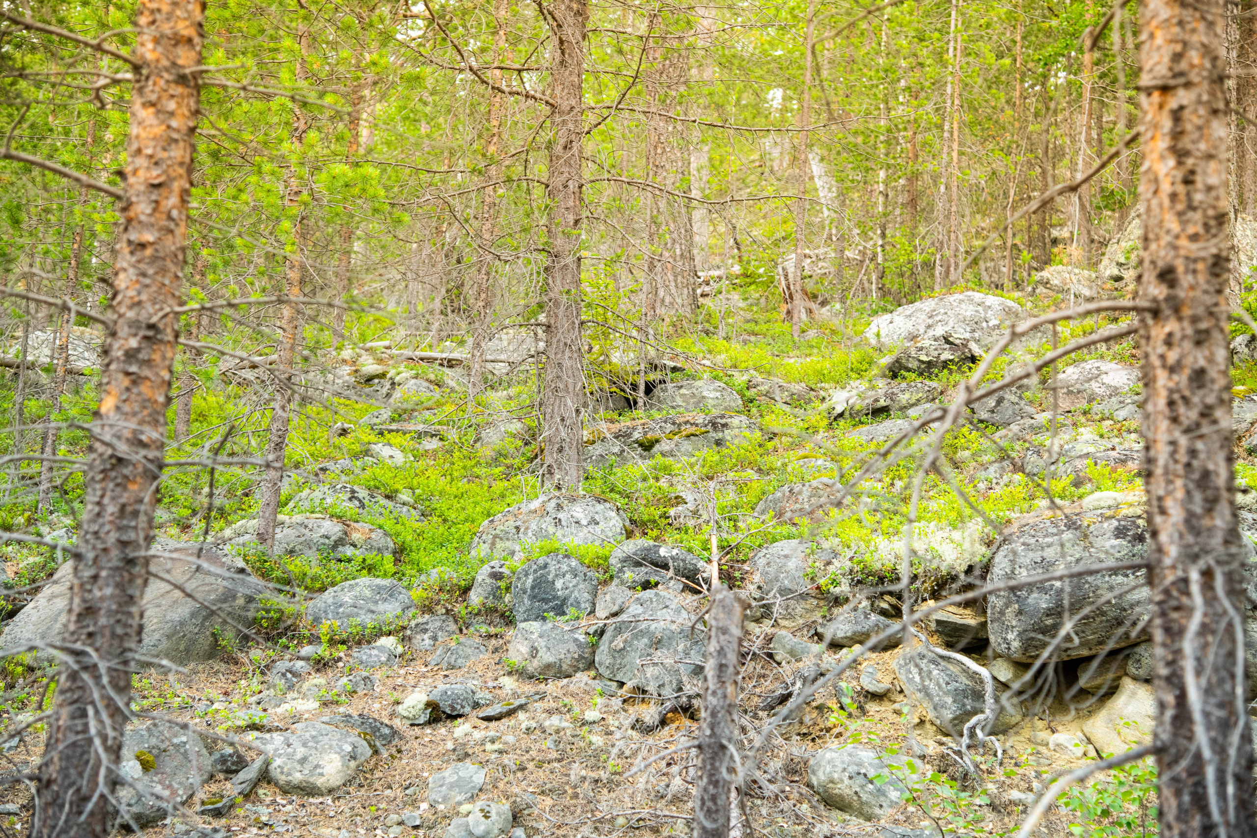 Кольский полуостров. Фотографирую для себя, своей семьи и друзей!
