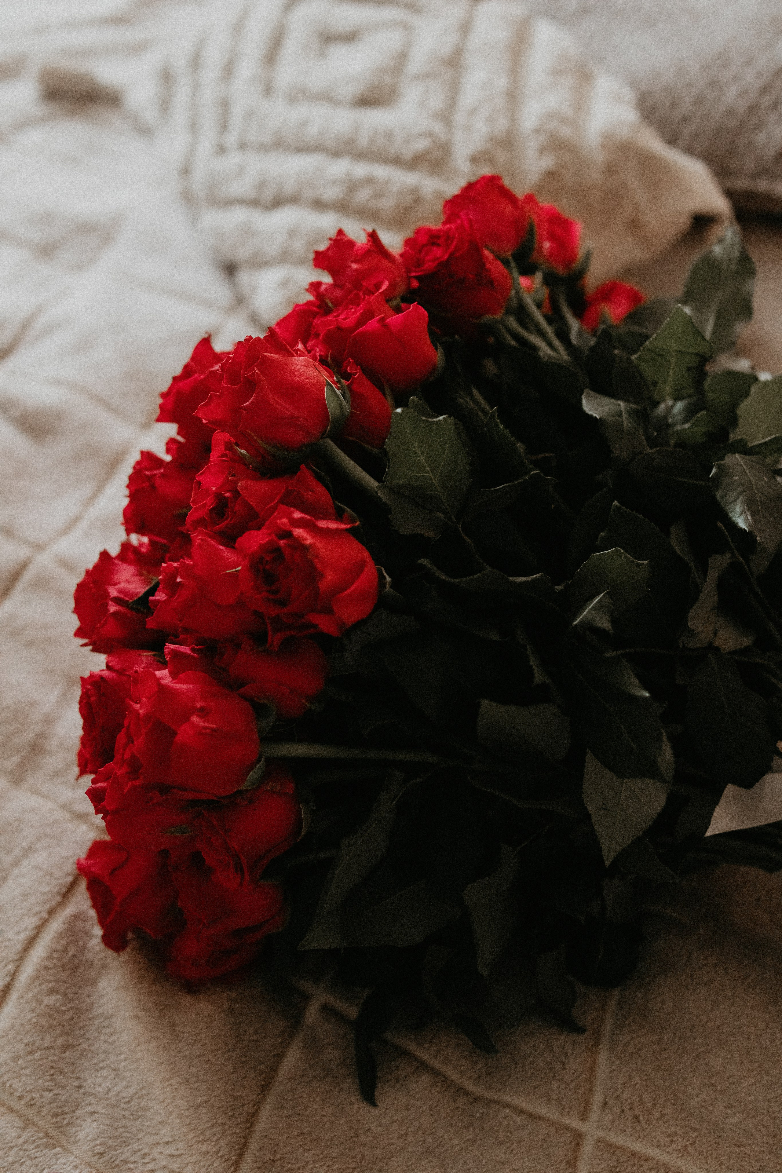 Малыш. Фотограф Москва