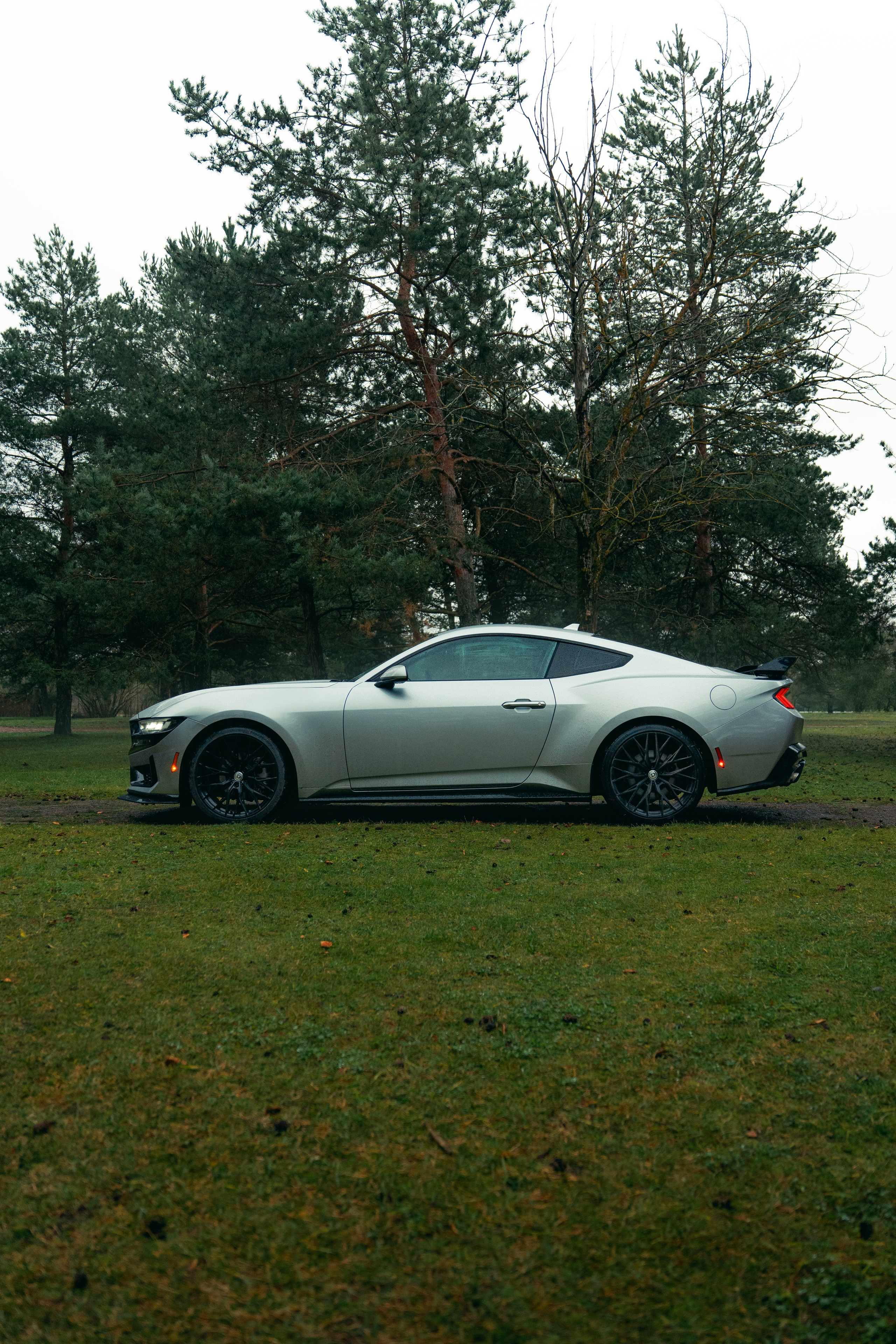 Фотографии Ford Mustang