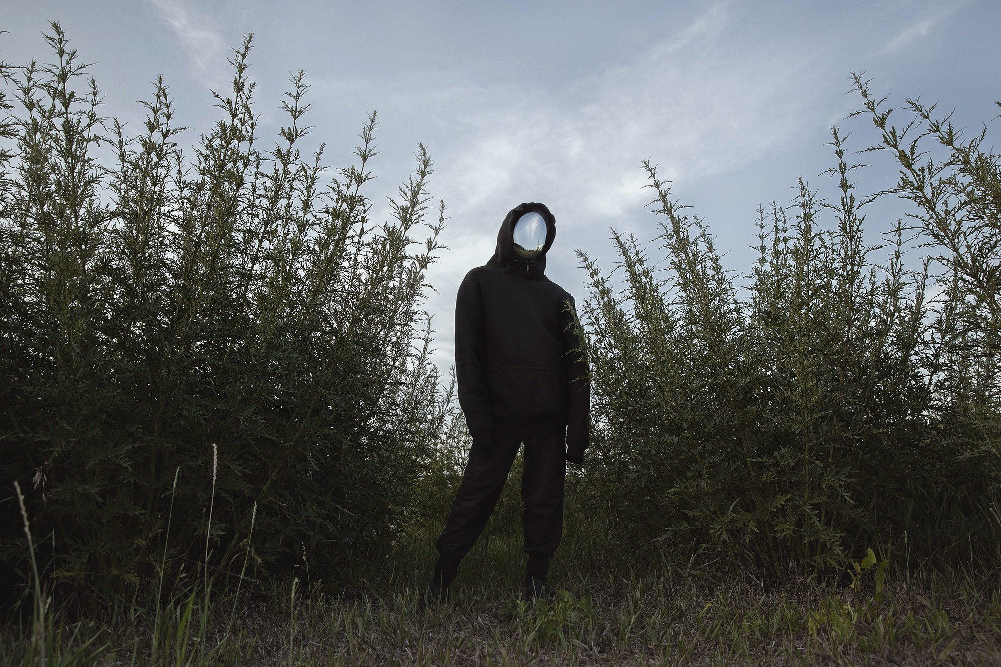 Рефлекторы / Reflectors. Visual artist Olga Burmistrova