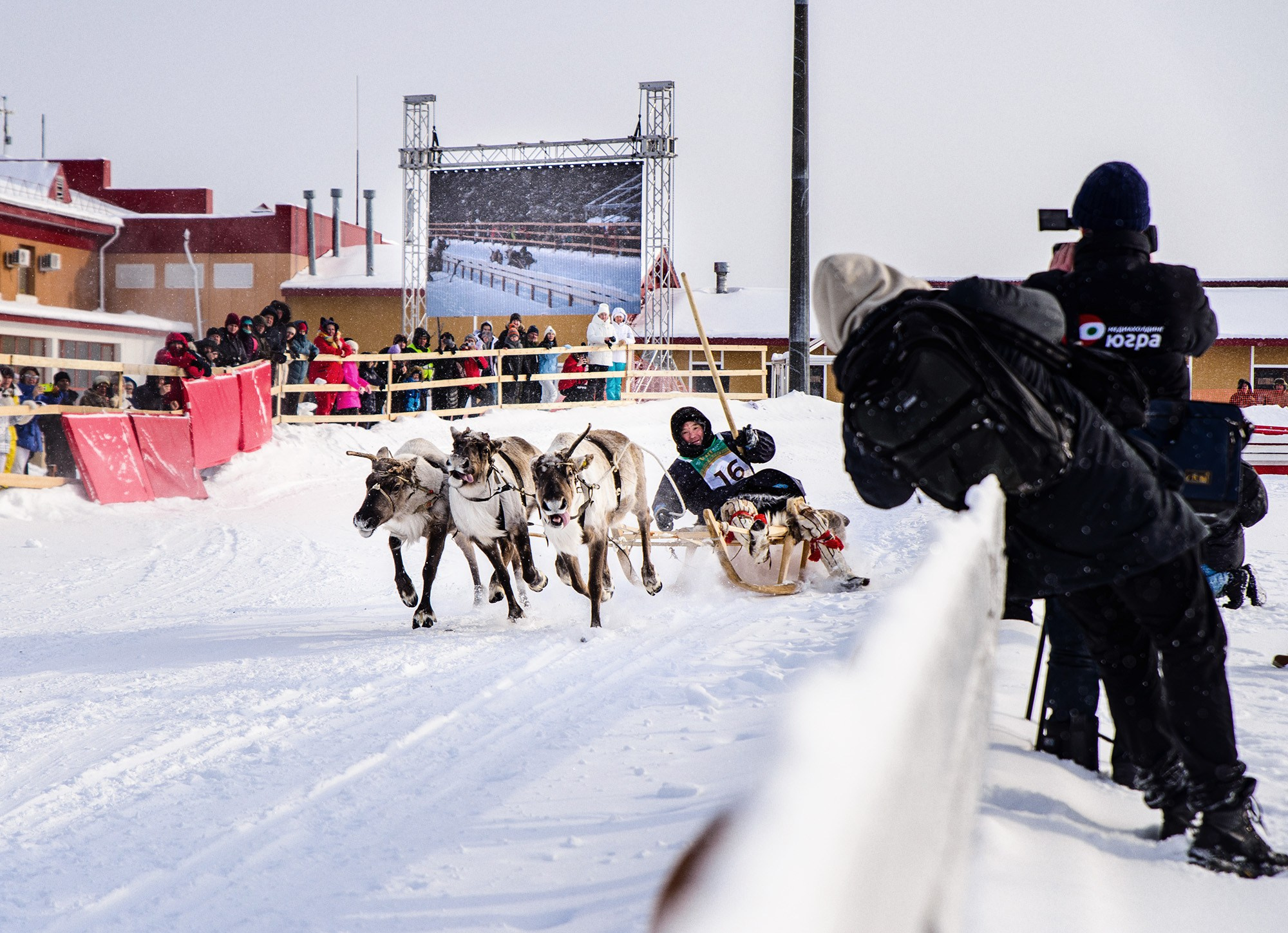 Конкурс оленеводов. Фотограф в Ханты-Мансийске Евгений Жуланов