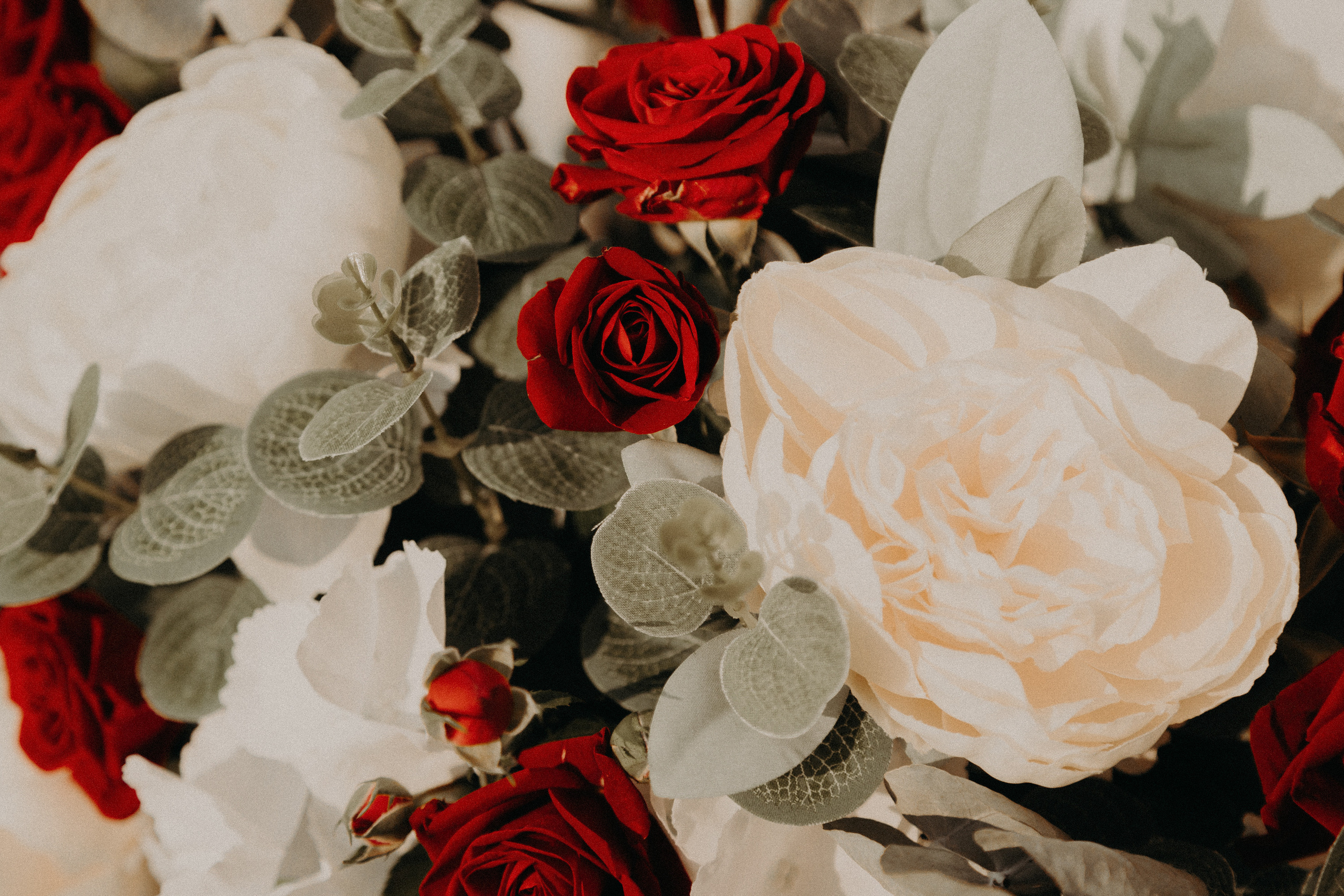 Анастасия & Александр. Фотограф Перминов Никита СПБ