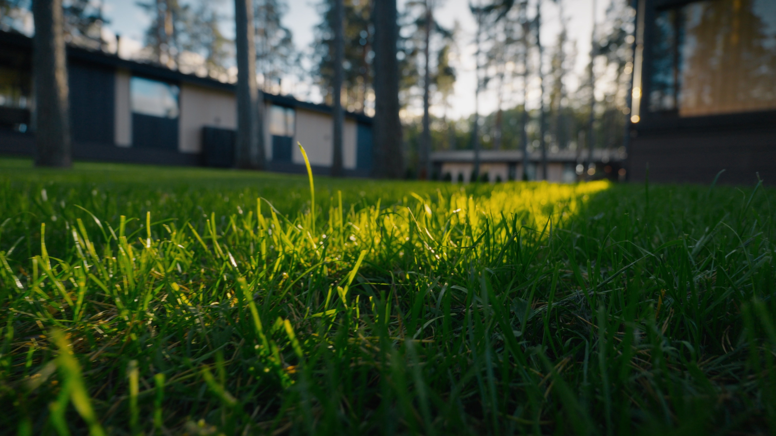 Тихолесье — Ваш дом и уют (promo). Цветокоррекция видео онлайн Иван Сержанов