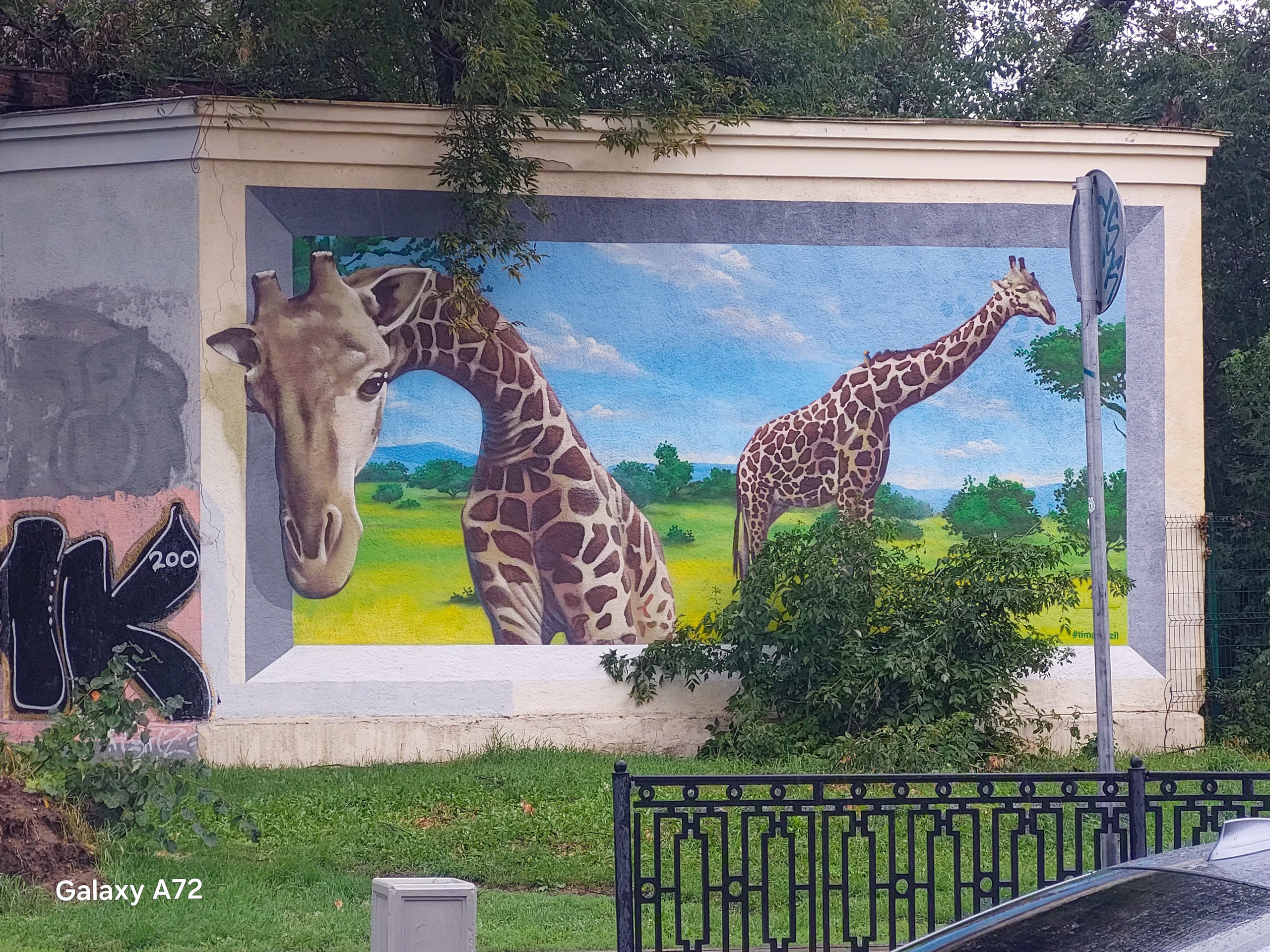 СТЕНОГРАФИЯ. Фотограф для маркетплейсов Михаил Бове