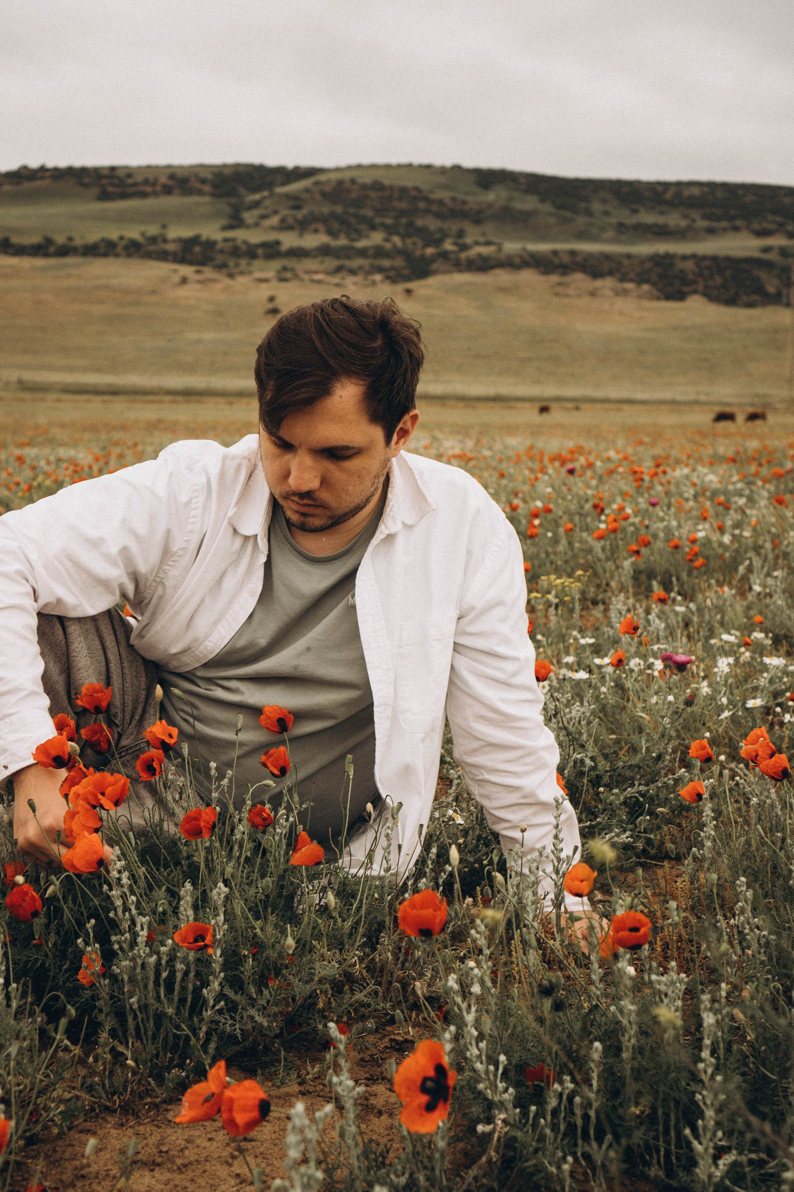 Маки. Профессиональный фотограф, Санкт-Петербург — Виктория Богомолова