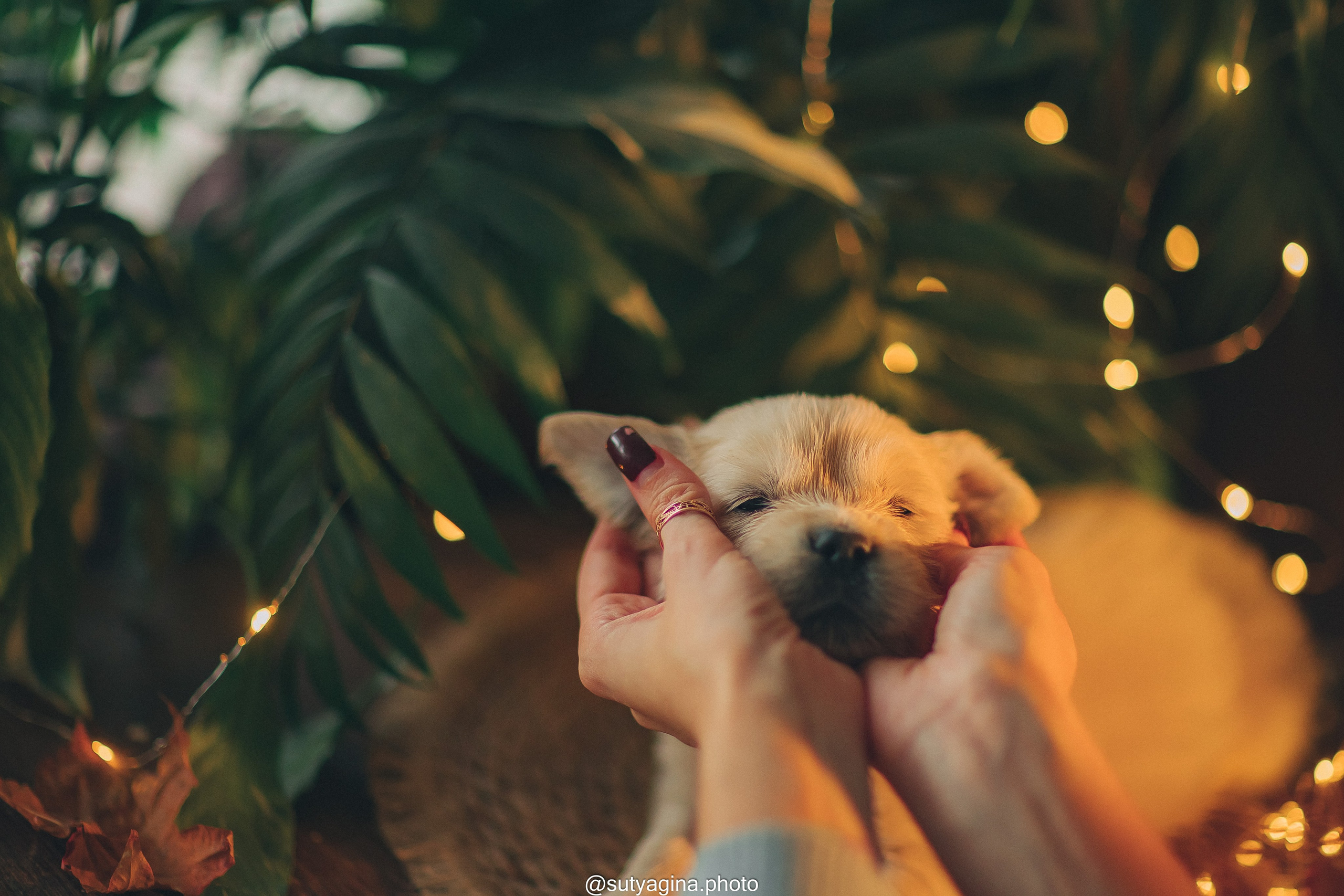 Серая лента. Свадебный и женский фотограф