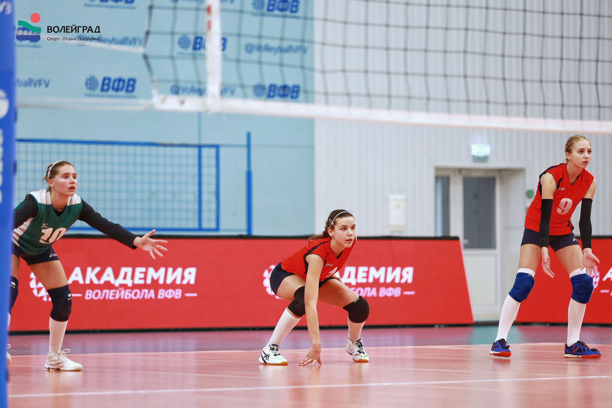 Волейбол ВФВ 05.04.24. Репортажный фотограф Анапа