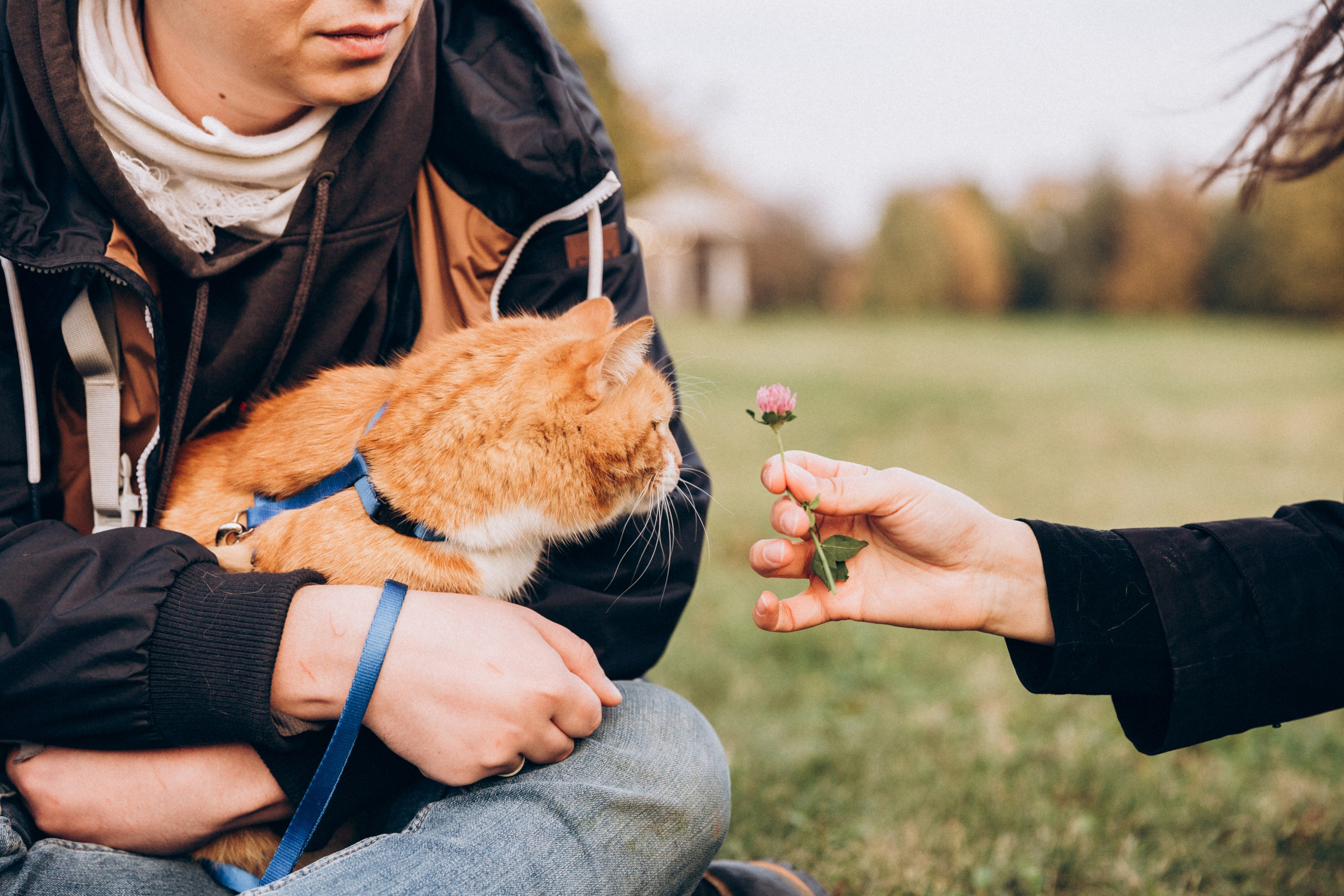 Таня и Ричард. Фотограф-анималист в Москве Соломонова Варвара