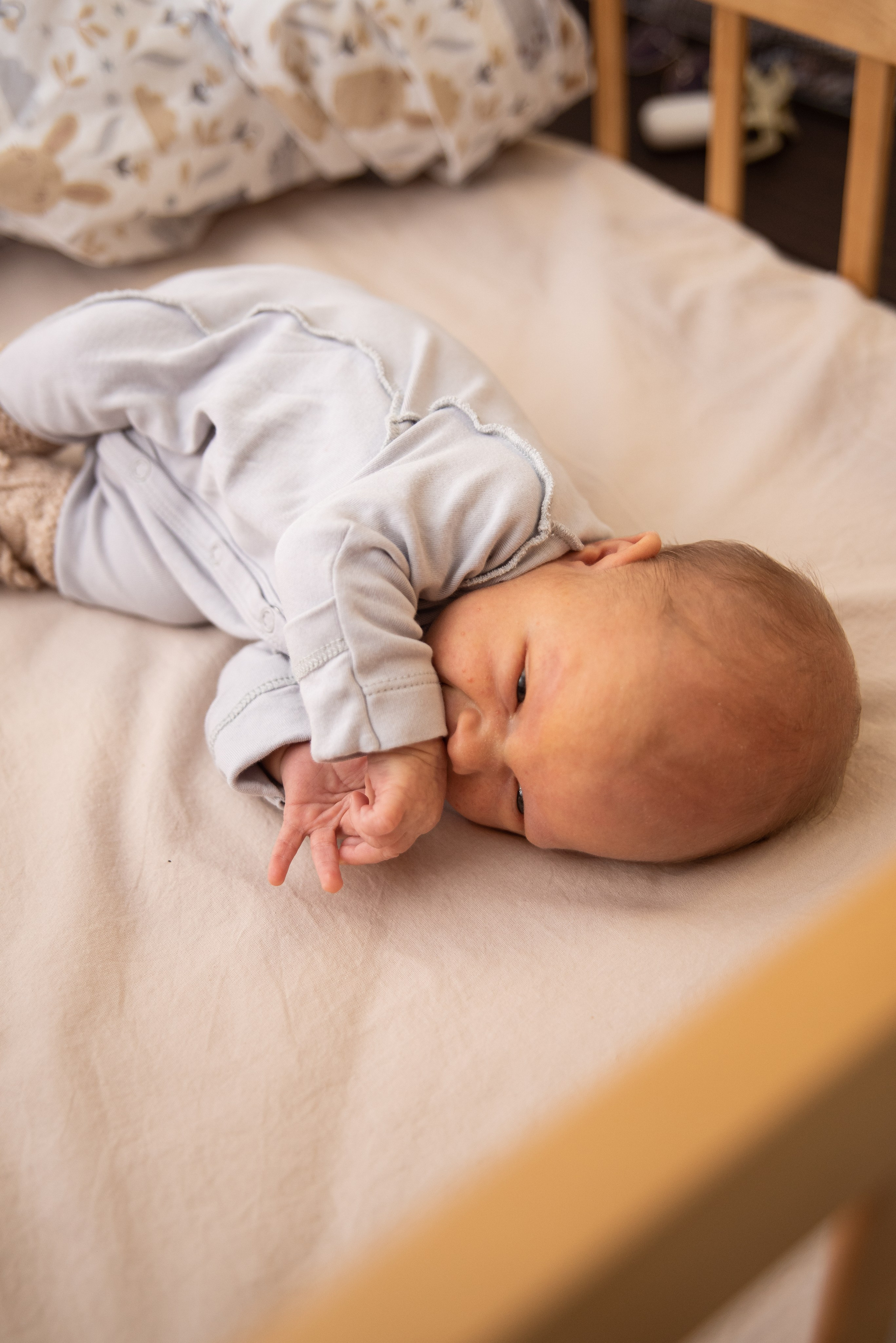 Семейные. Свадебный фотограф Тимур Хабибуллин