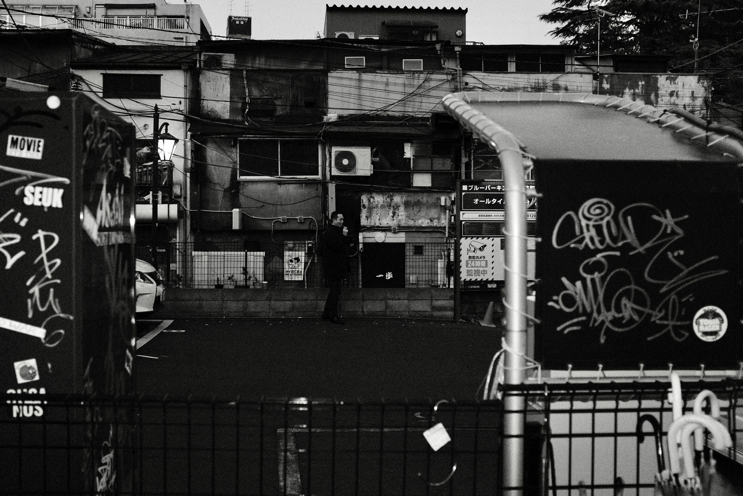 Faces of Tokyo. Regina Platonova