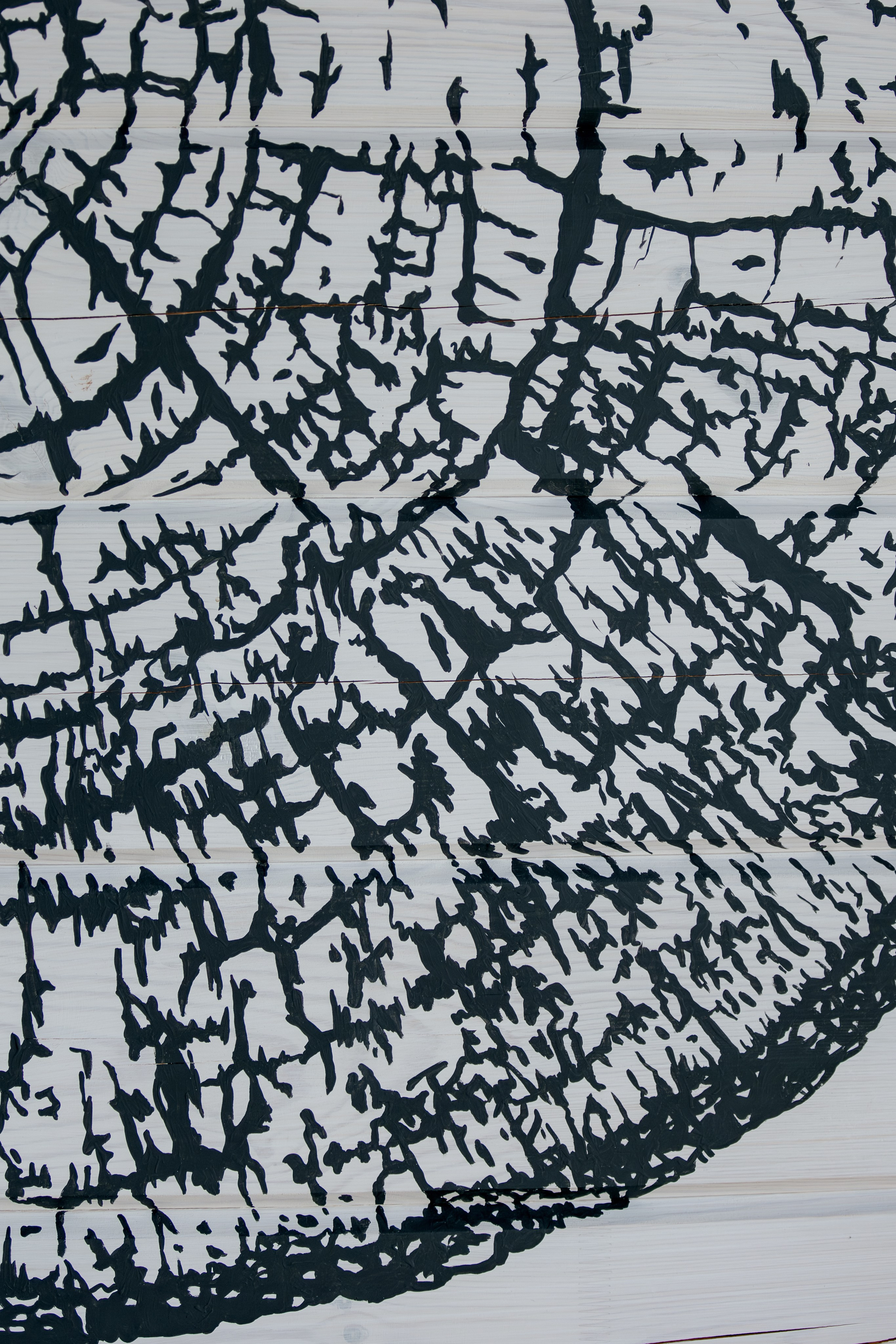 ВОСТОК СЕРВИС. Фотограф в Красноярске