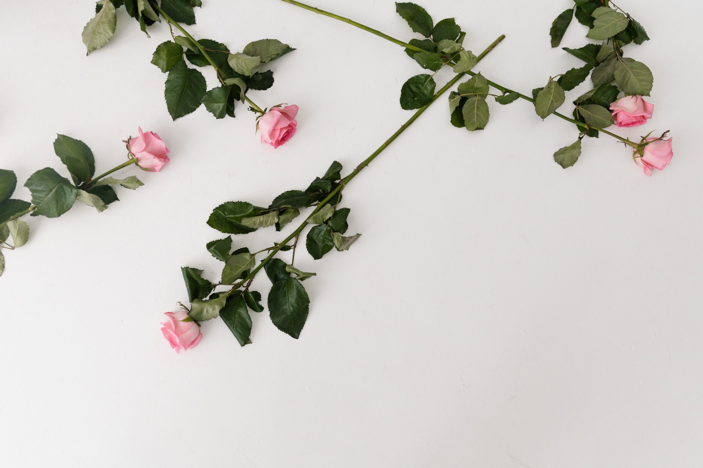 Услада юностью. Свадебный фотограф Марьям Сайфулина г. Красноярск