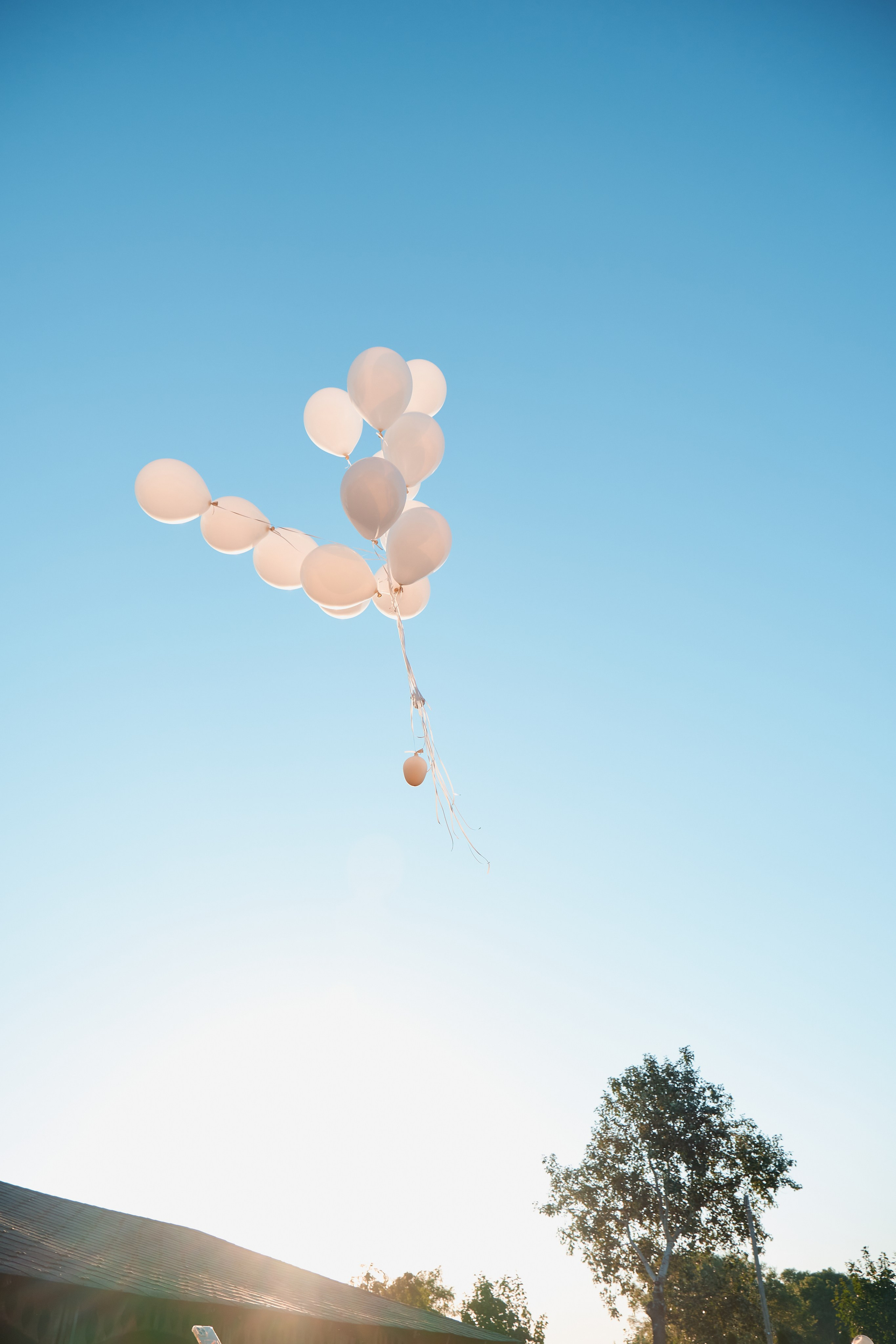 Саша и Даша. Фотограф Таганрог Анна Трайжон