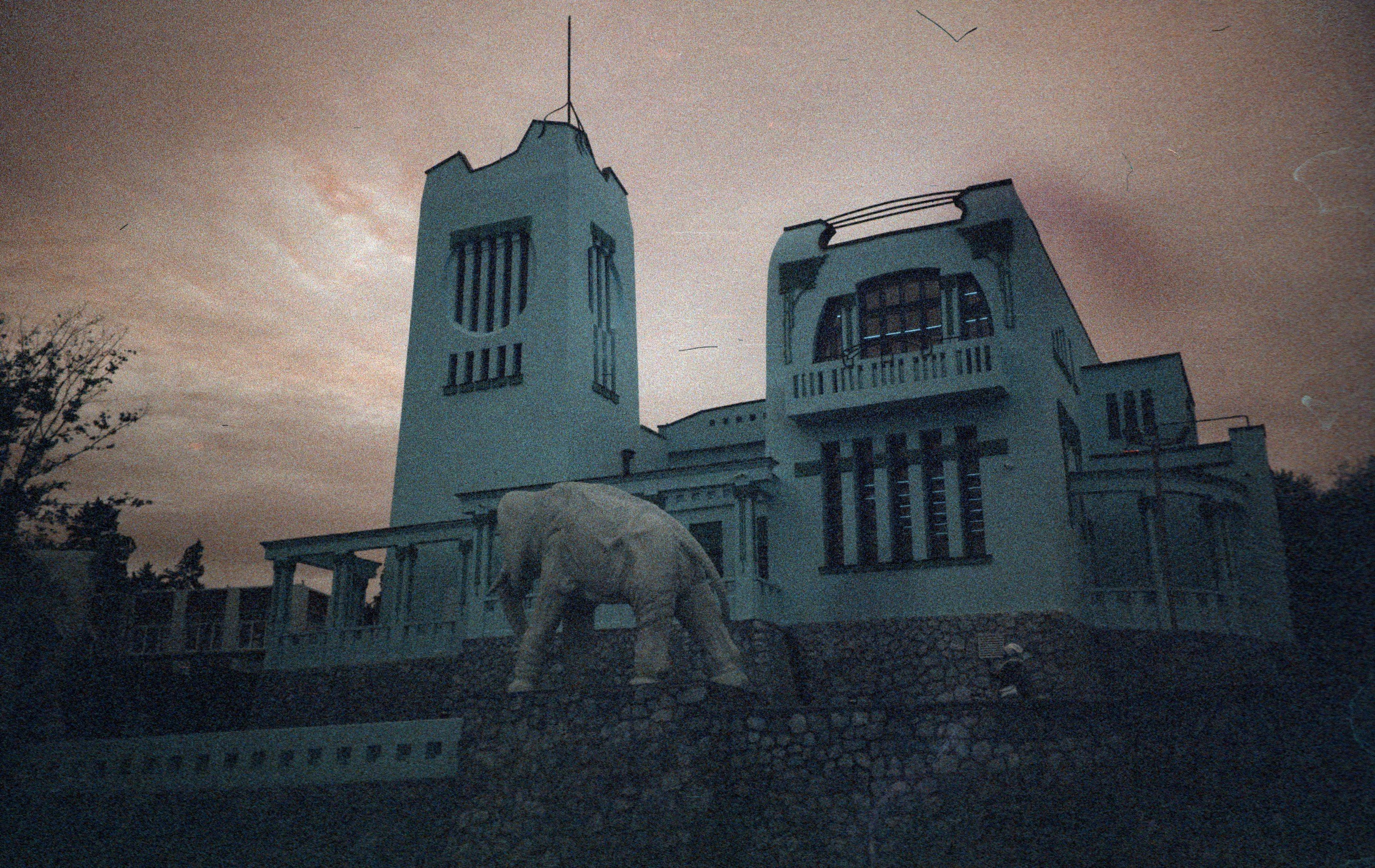 Макаров Сергей | Креативный продюсер