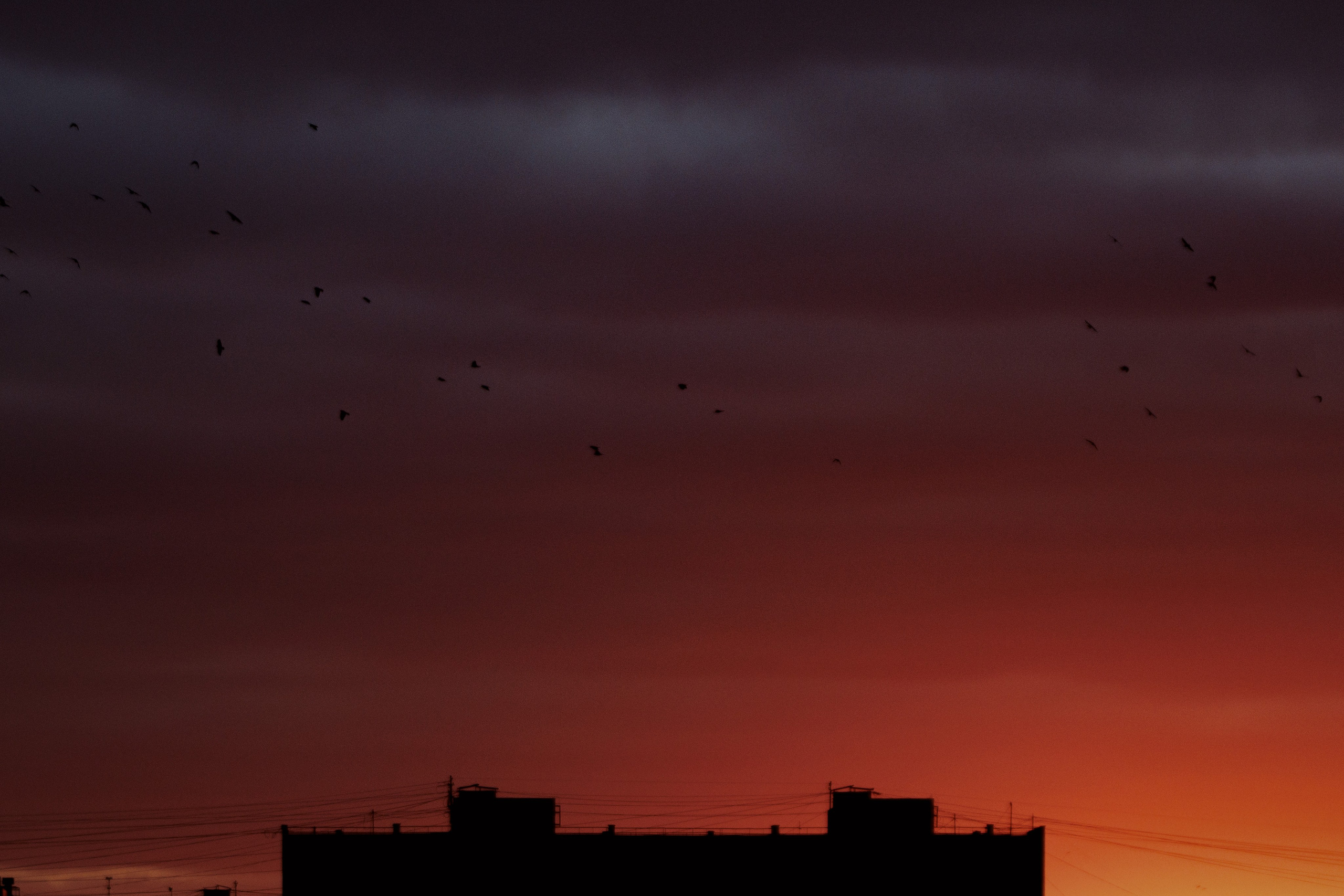 Репортаж. Фотограф Артем Павлов