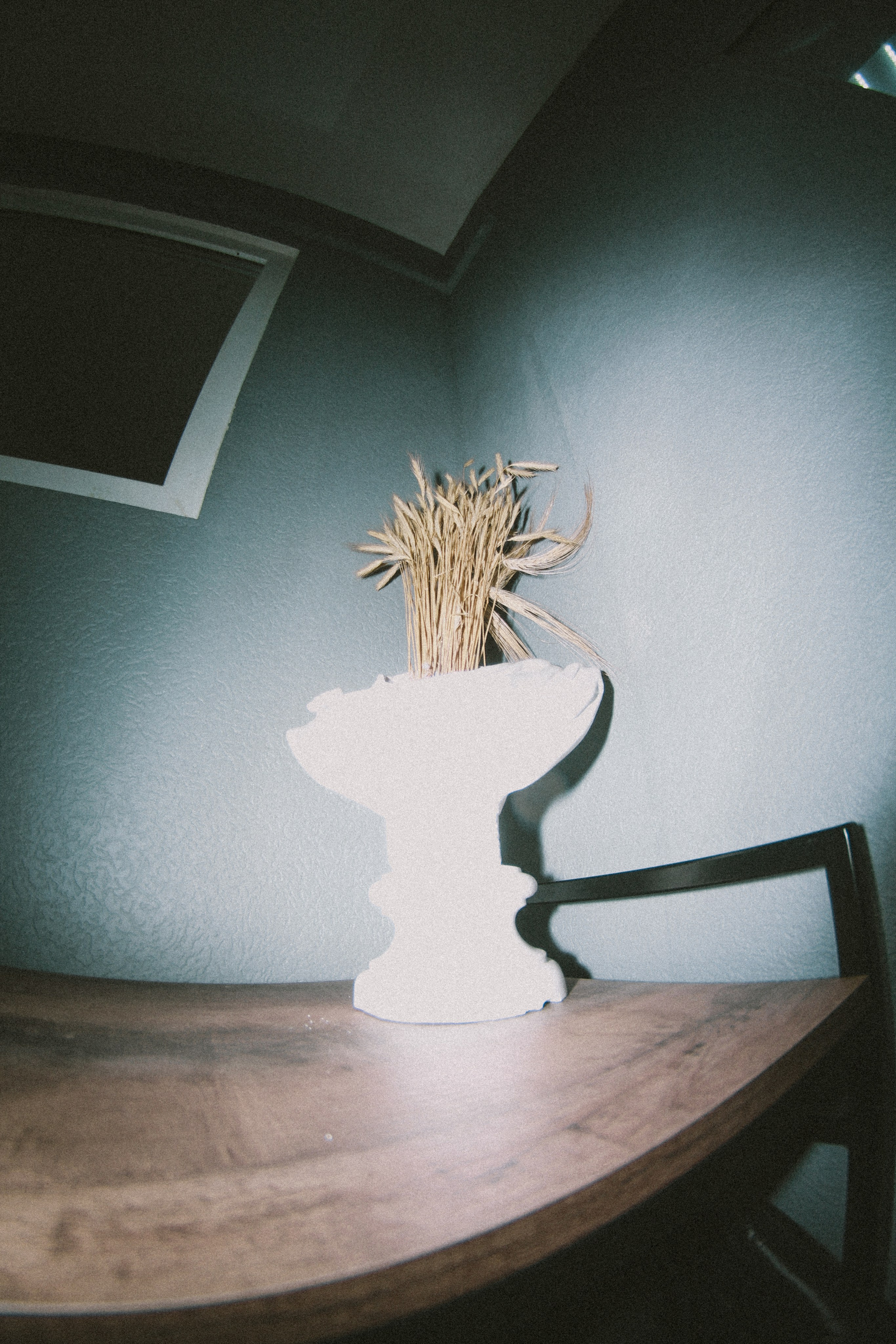 Bobo. Фотограф Мурманск | Нижний Новгород • Анна Хижняк