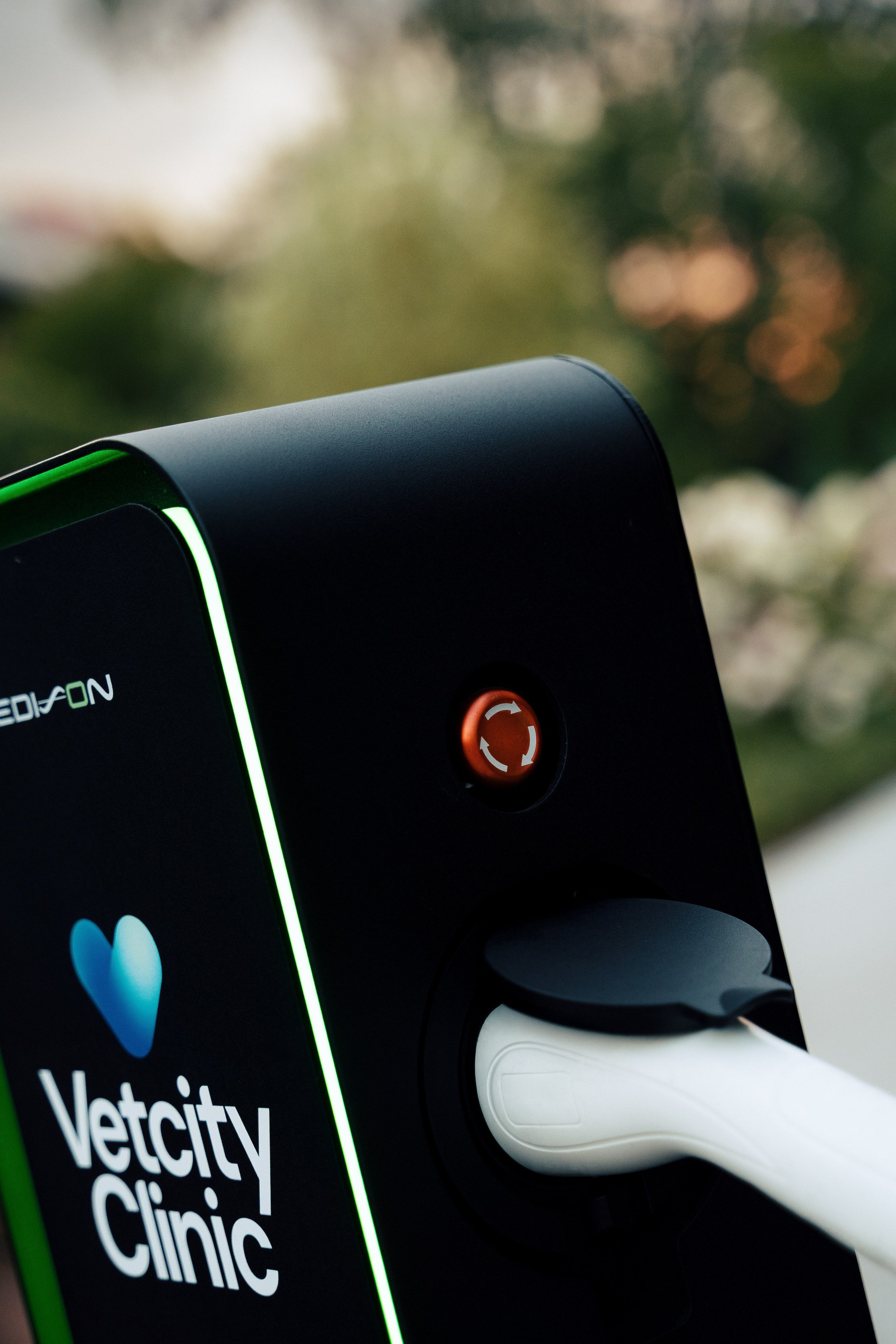 Edison Solo х Vetcity Clinic. Профессиональный фотограф и оператор в Москве — Максим Проценко