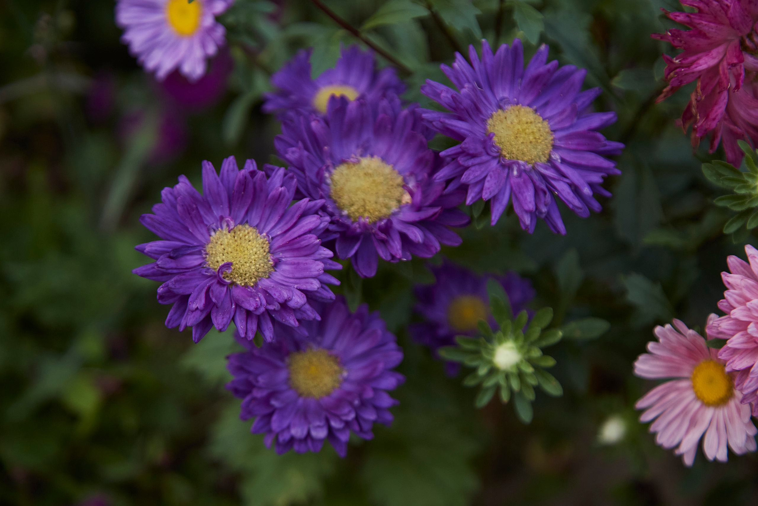 Коллекция пейзажных фотографий. Photographer Sonkina Tatiana (Tanya Ash)