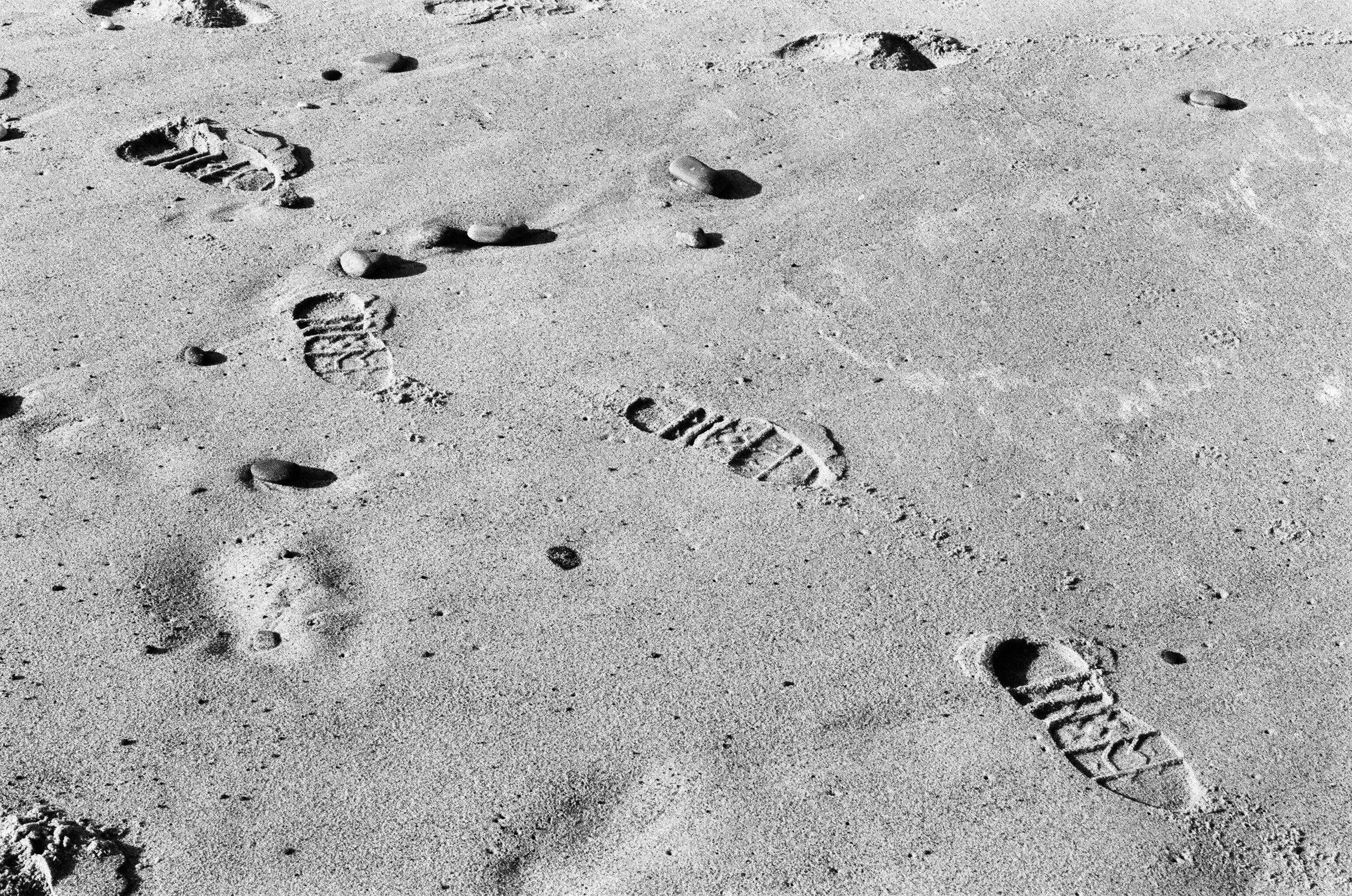 Холодный пляж. Катрин Эдельвак