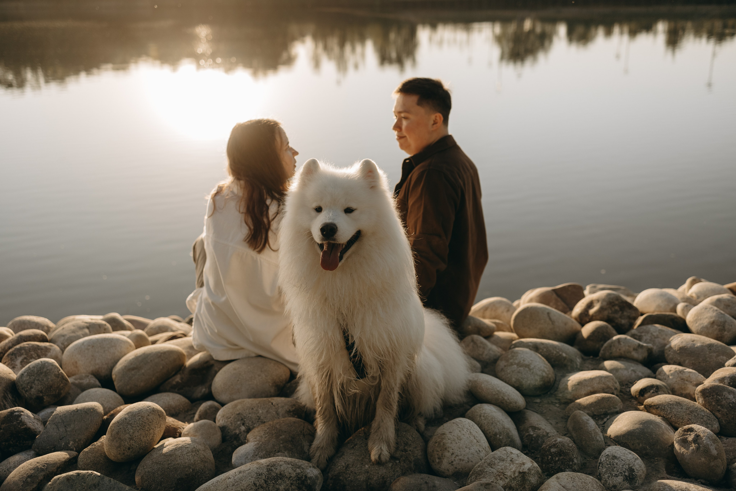 Танго и его семья. Фотограф — Анималист | Санкт-Петербург