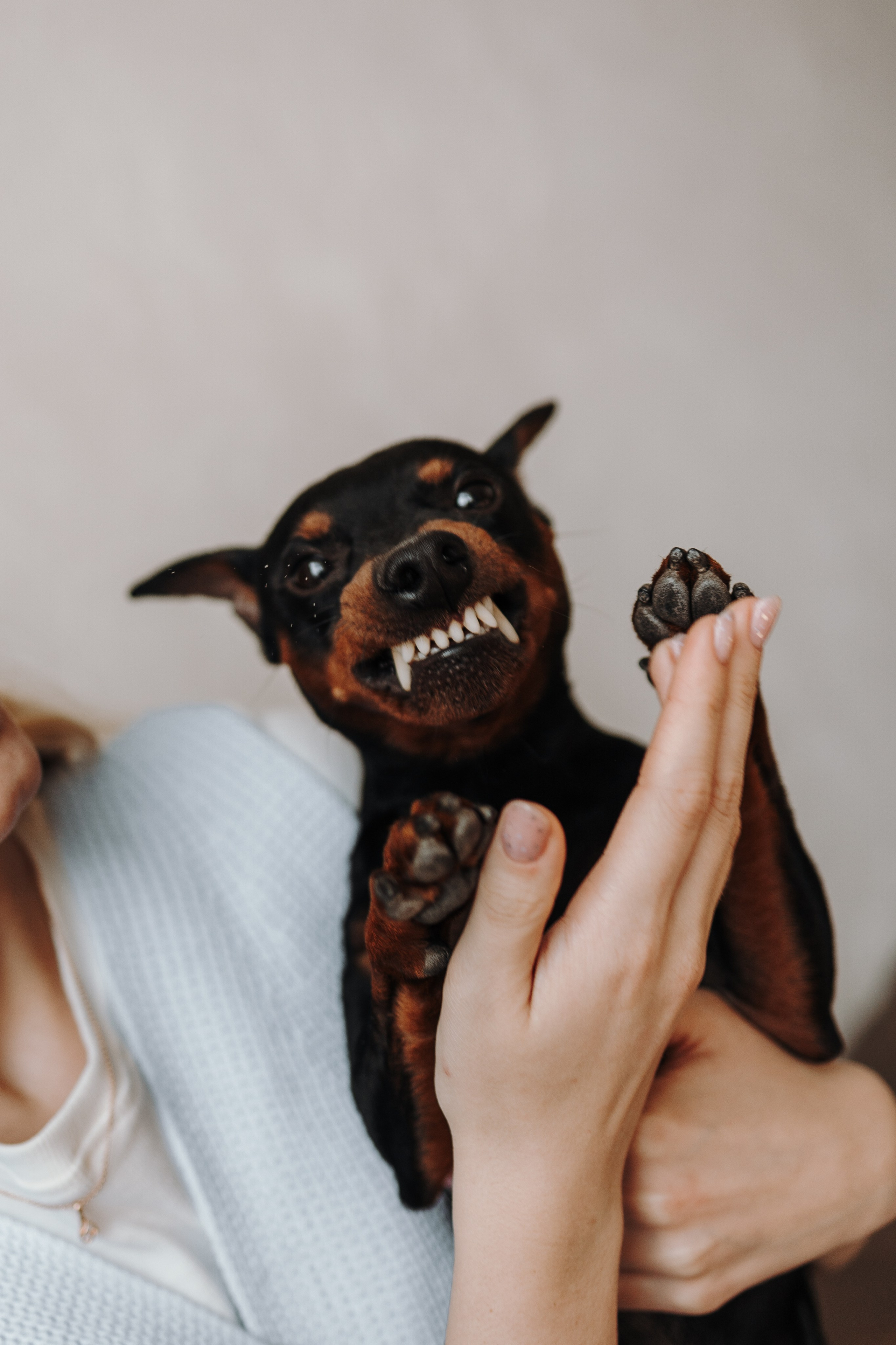 Катя и ее мальчики. Фотограф — Анималист | Санкт-Петербург