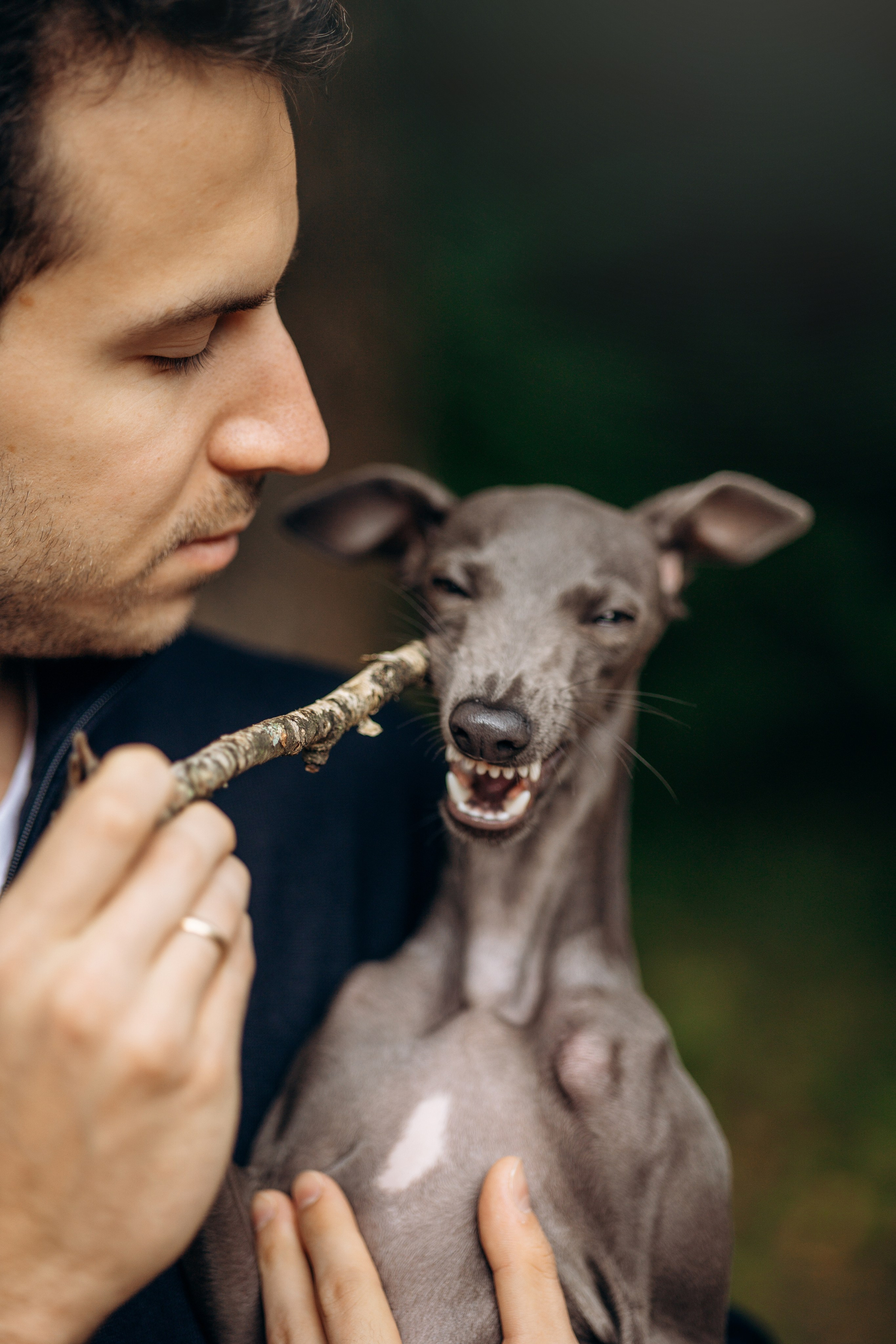 Лучик и ее семья. Фотограф — Анималист | Санкт-Петербург