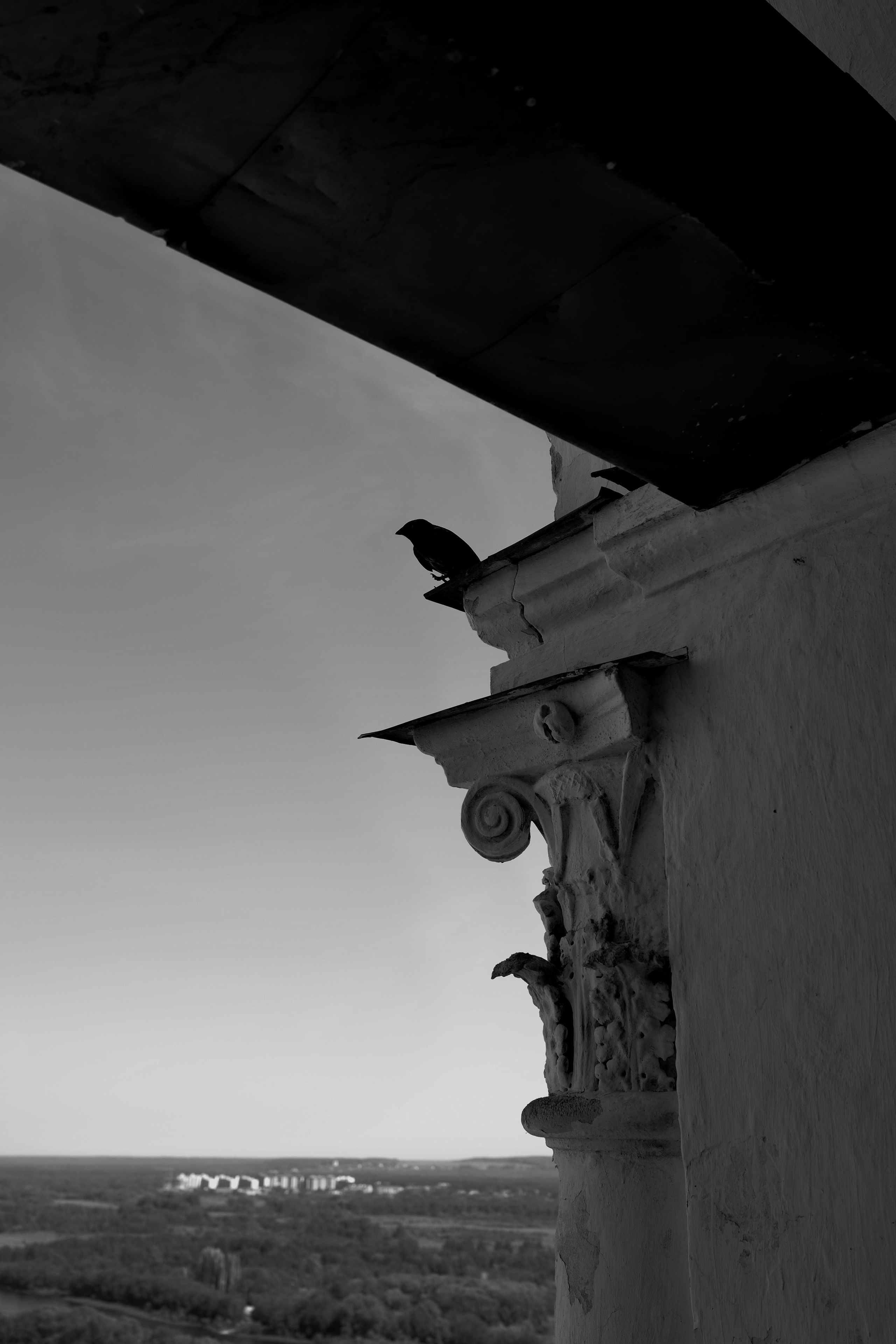 Vladimir. Фотограф Евгения Добротворская