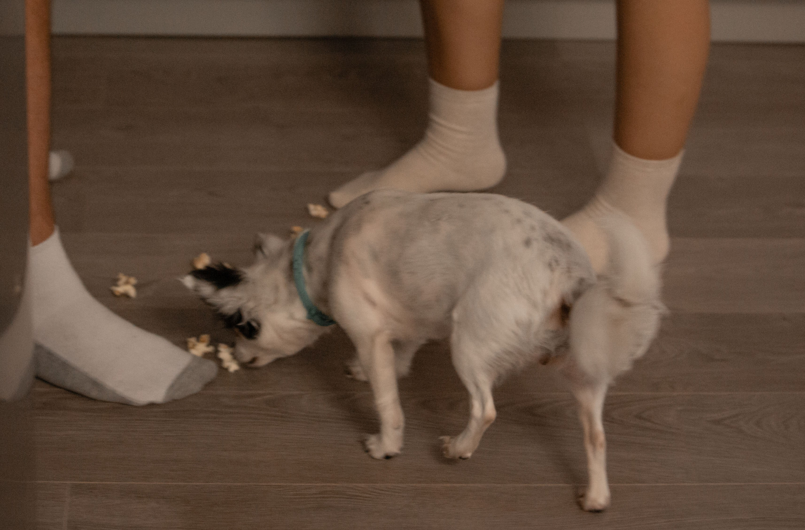 Лера и Максим. Фотограф Виктория Куприянова