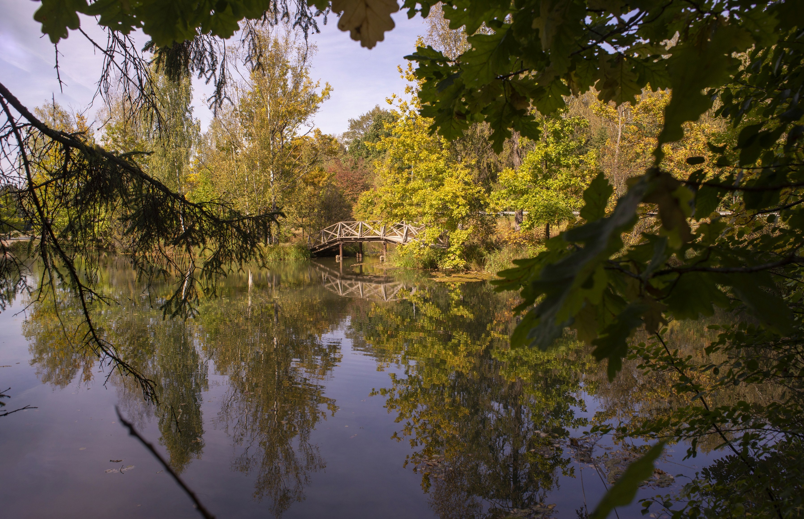 Абрамцево. Сентябрь 2023. Игорь Жучков. Россия увиденная глазами путешествующего фотографа