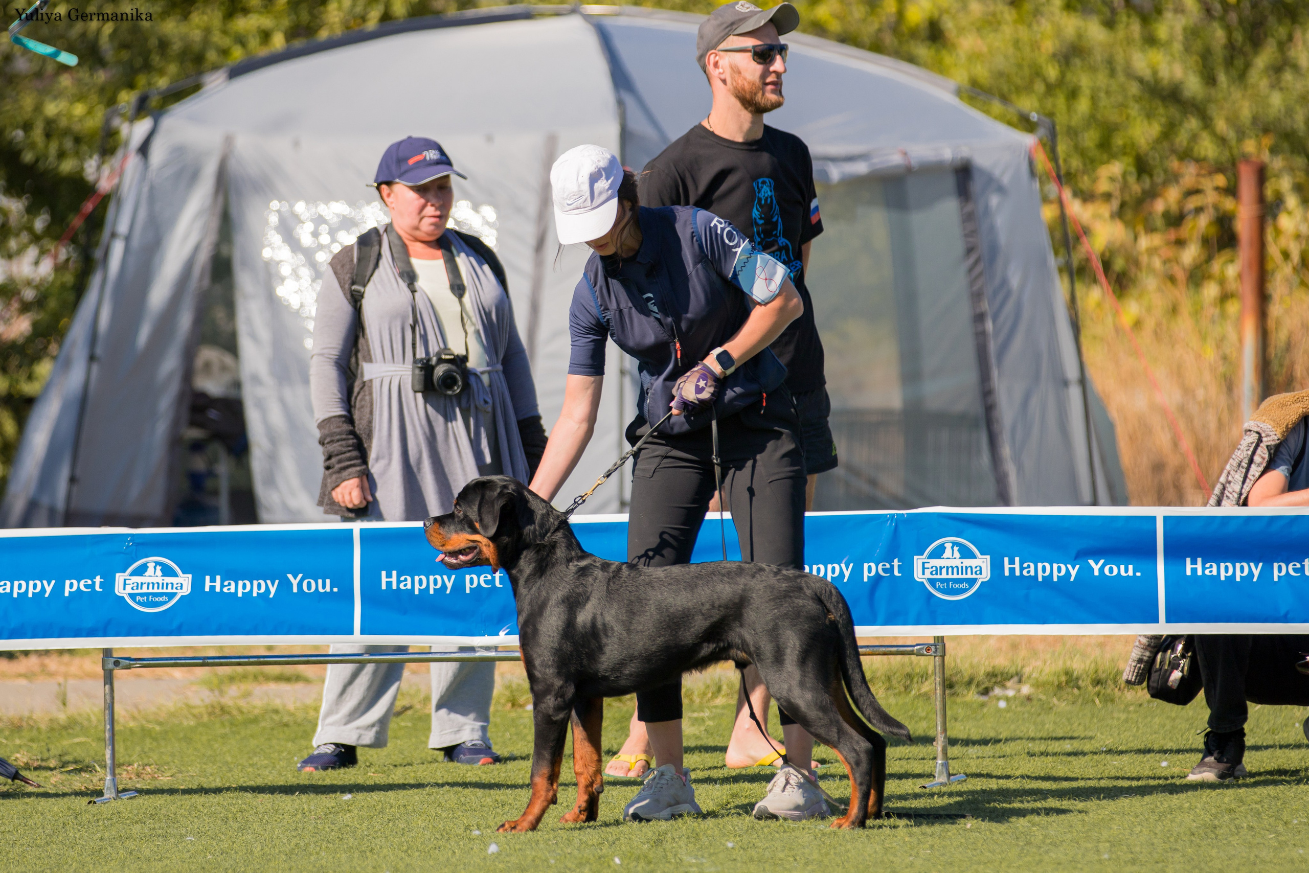 Анапа 16-17.09.2023 моно ротвейлеров. Фотограф-анималист Юлия Германика