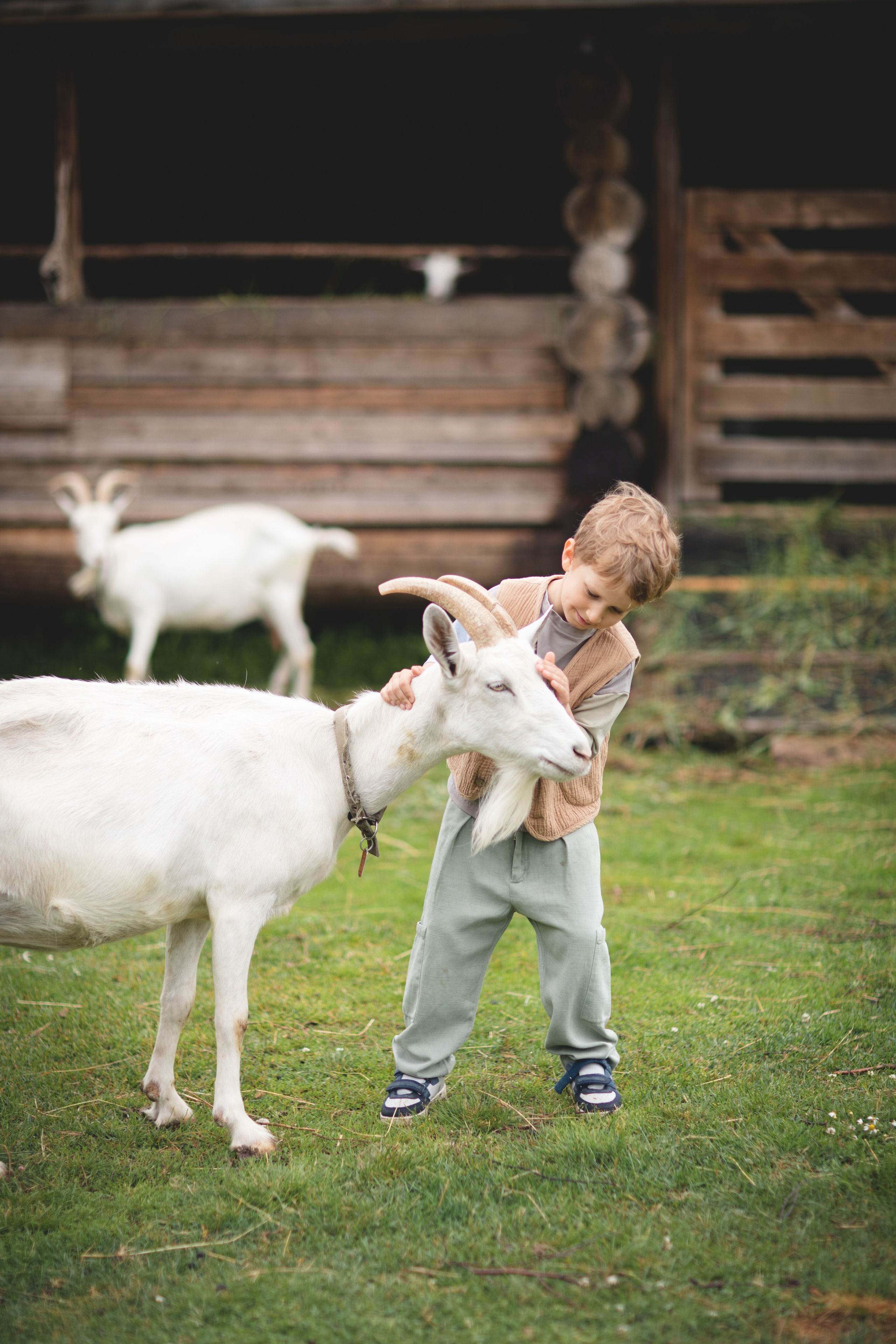 Фототуур «Край озёр» Лето. Семейный фотограф в Москве Анастасия Гурьянова