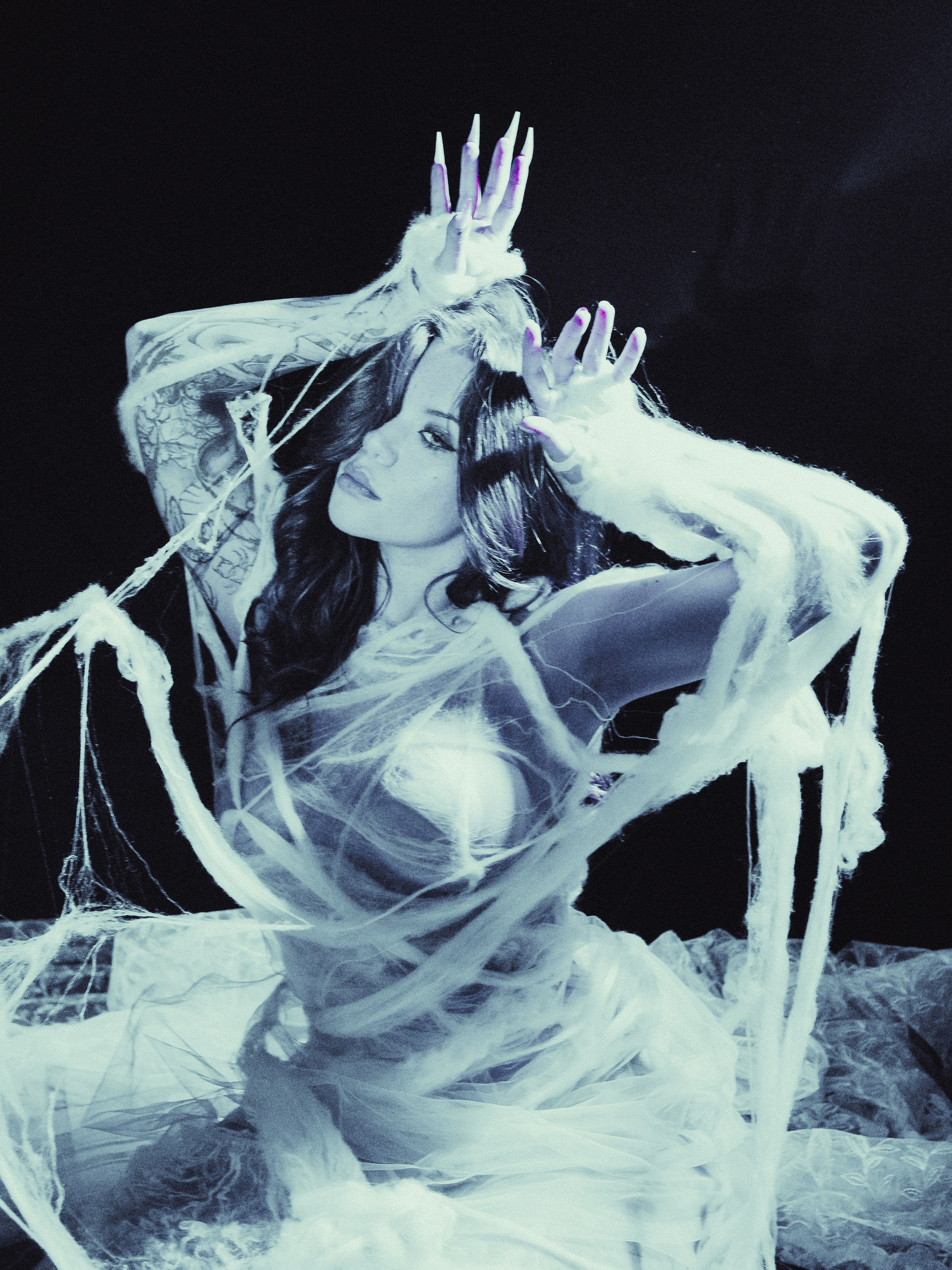 Diibae spider. Фотограф из Санкт-Петербурга Валерия Ленских