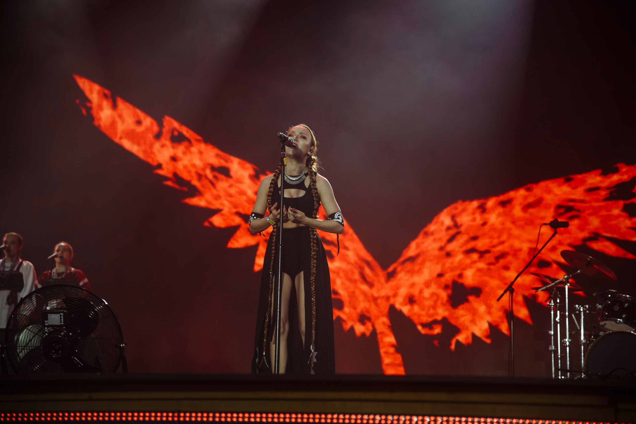 Дикая Мята 2025. Фотограф из Санкт-Петербурга Валерия Ленских