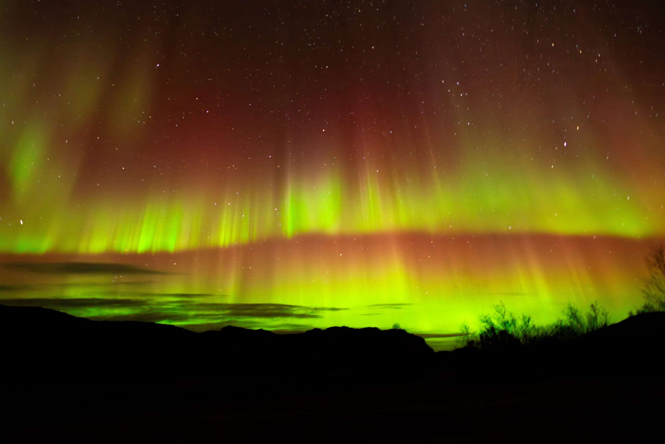 Кольский. Фотограф и видеограф анималист Аганина Дарья