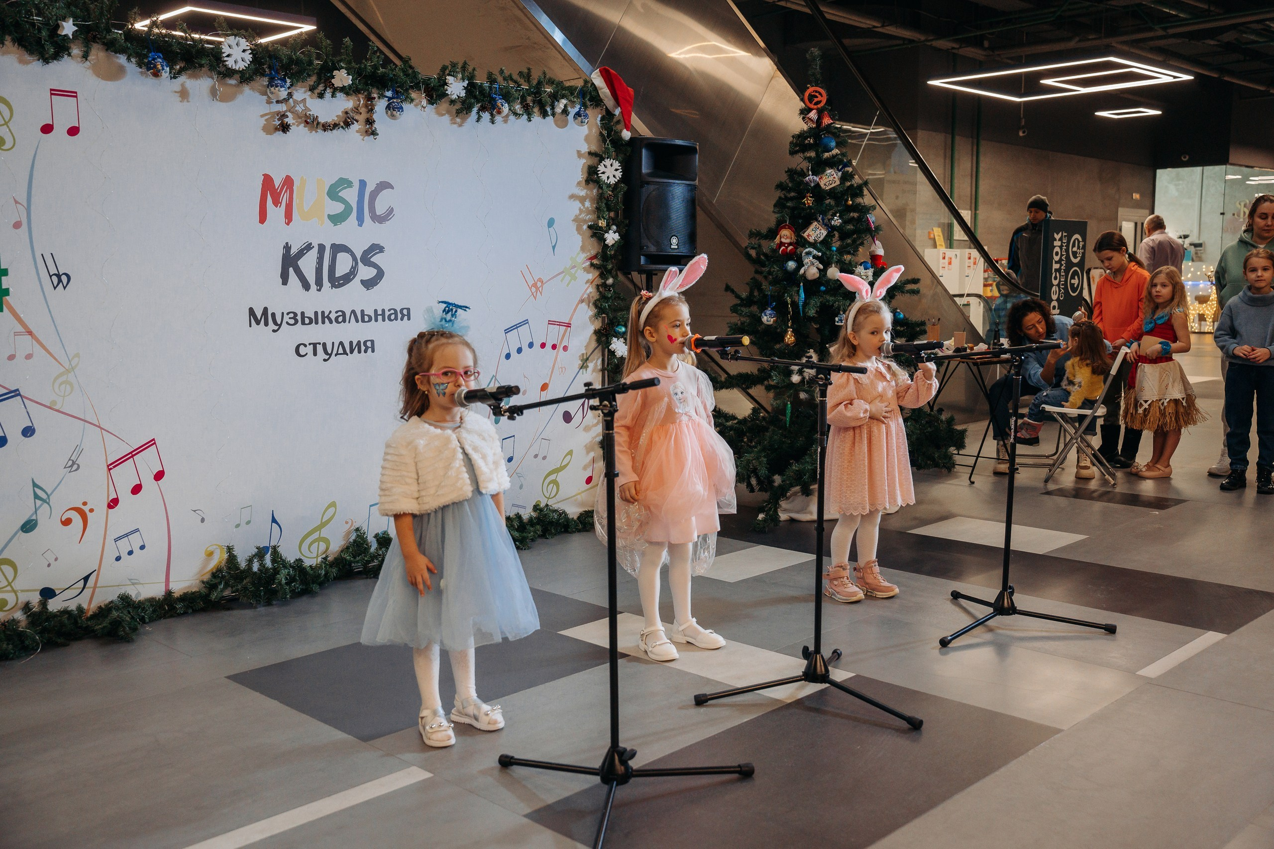 Новогодний концерт в музыкальной школе г. Одинцово