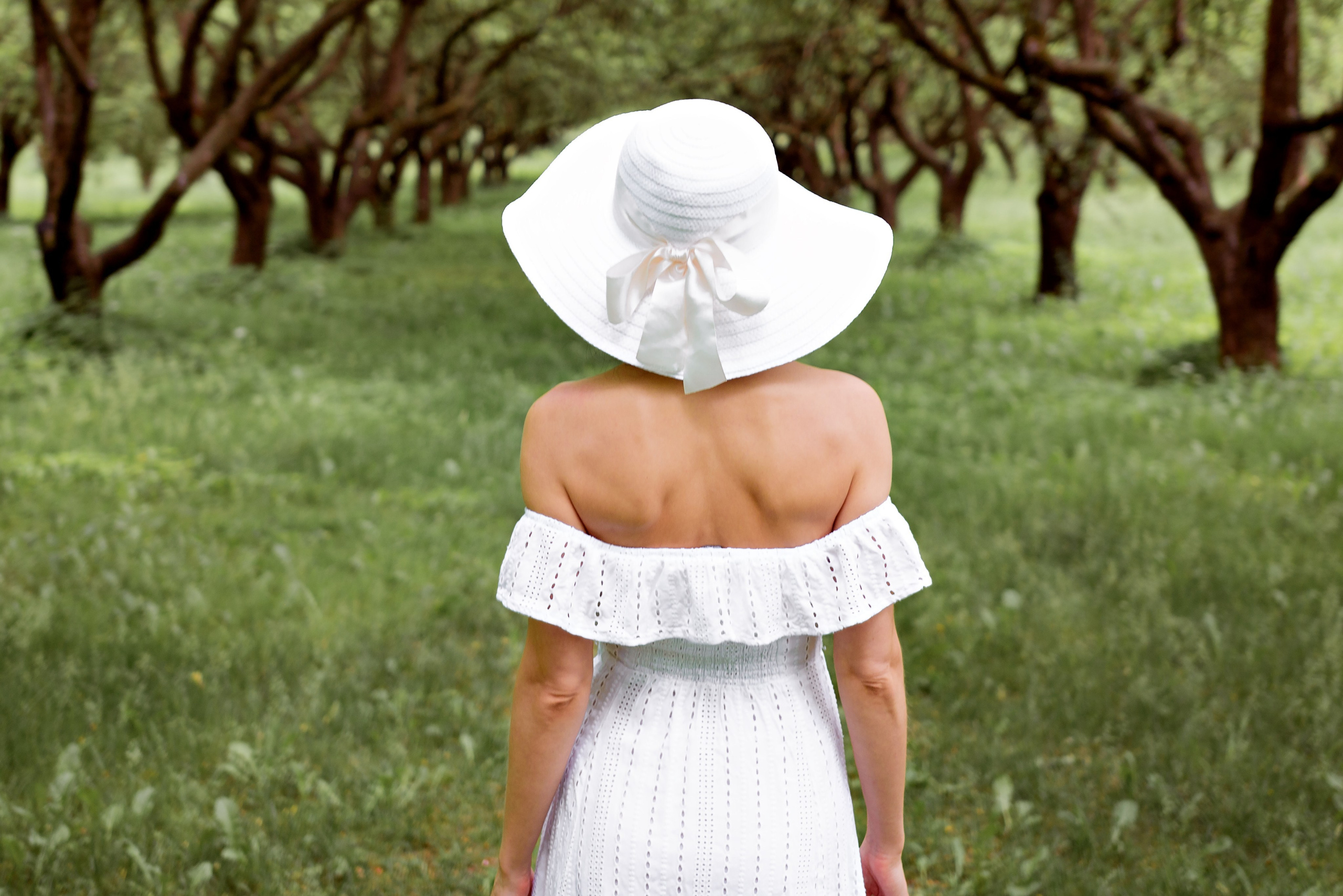 Зелёная симфония