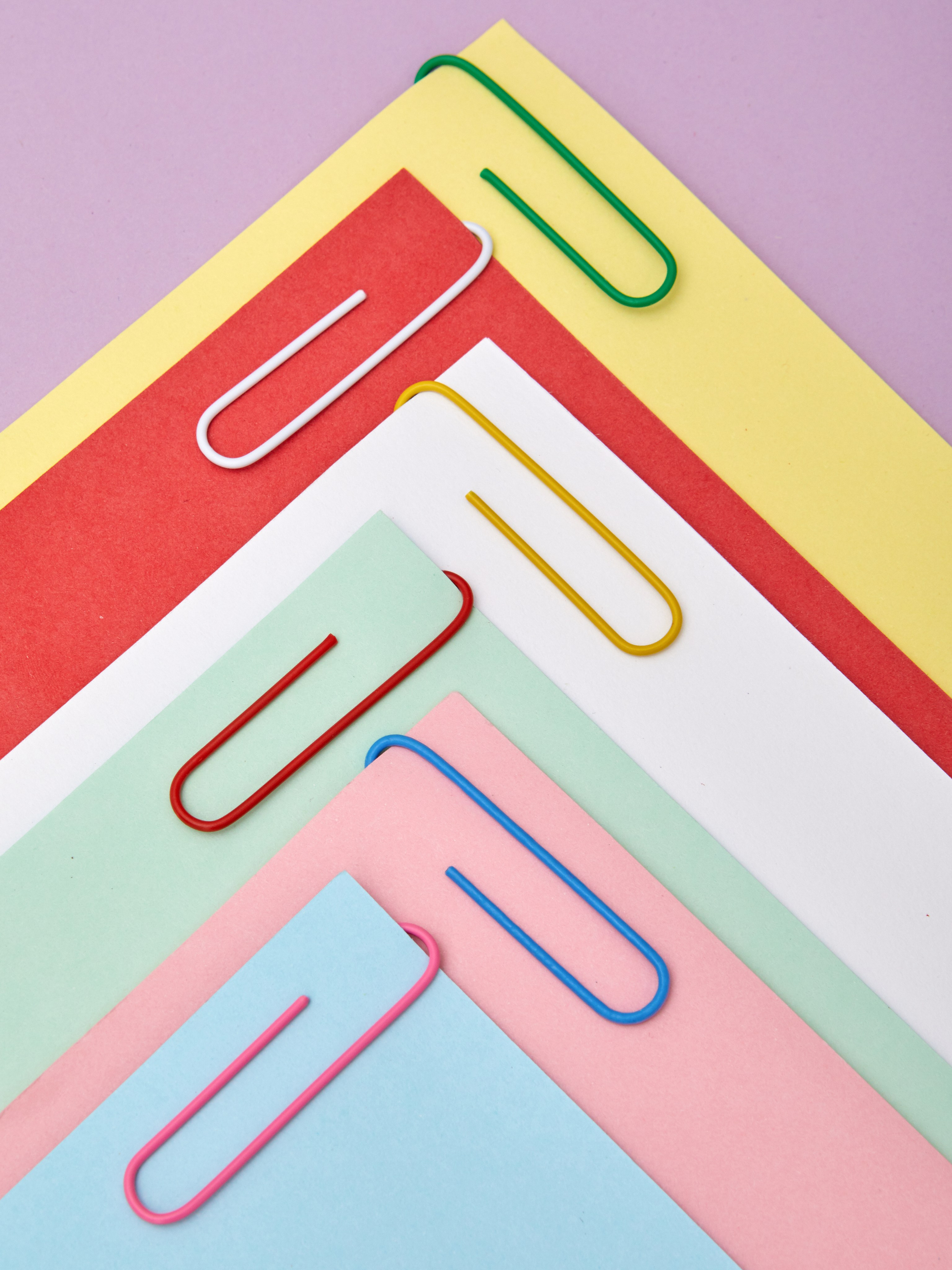 Komus. Aleksandra Egorova photo