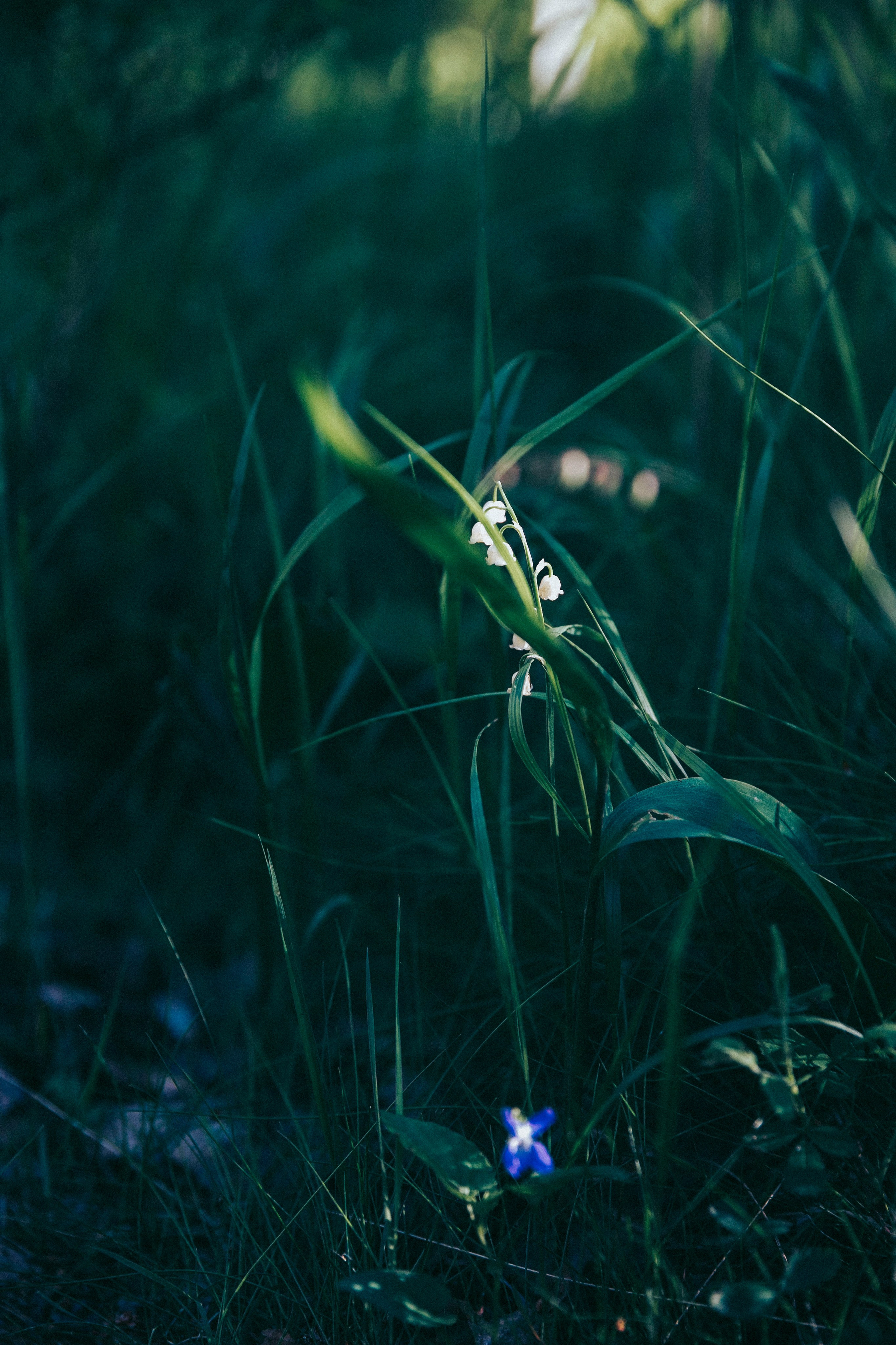 Папа и дочка. Фотограф в Москве Шаганова Нина
