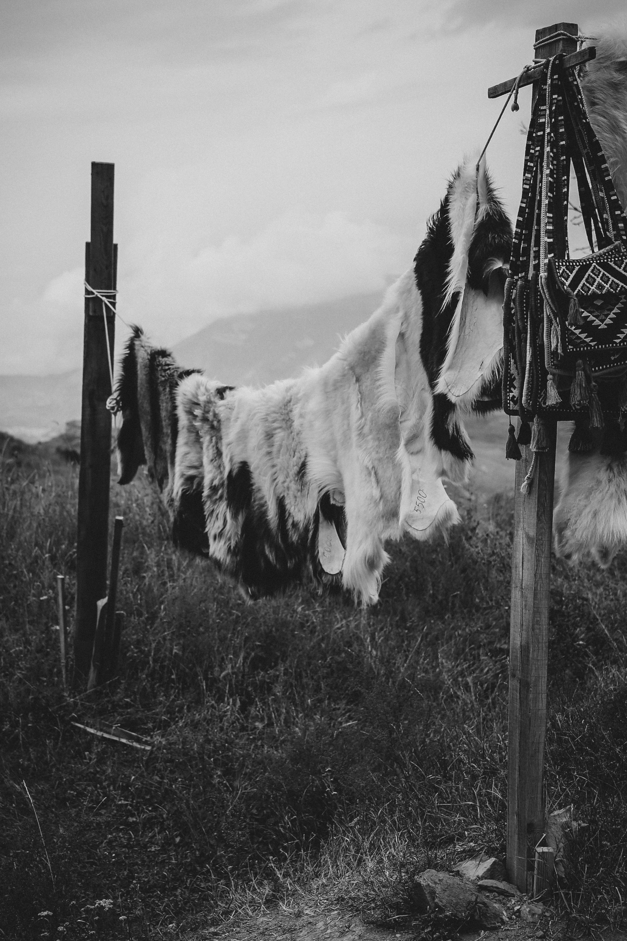 Тур Дагестан. Фотограф в Серпухове и Тарусе Ксения Царёва