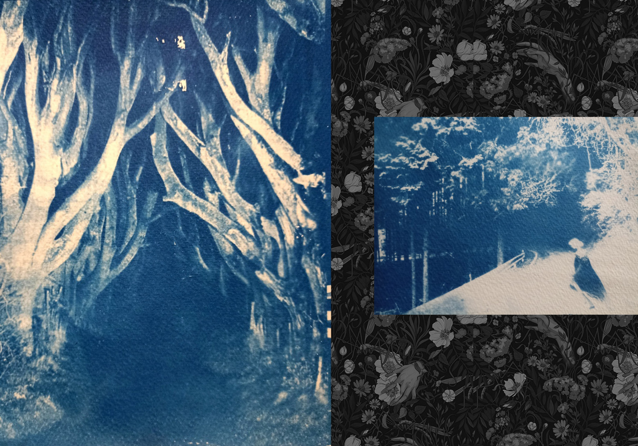 Ира Бринкус | Лес. Private image