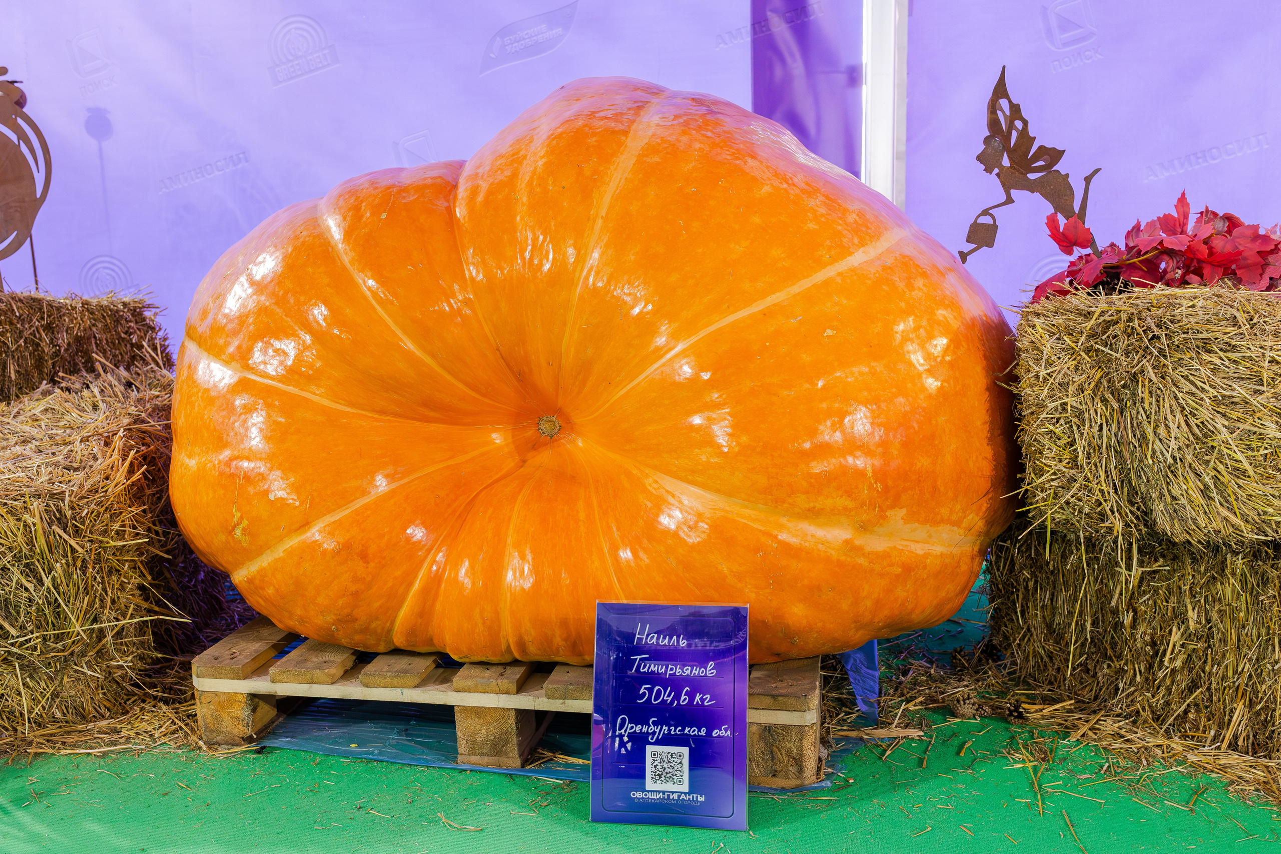 Овощи-гиганты. Александра Куликова фотограф, Москва