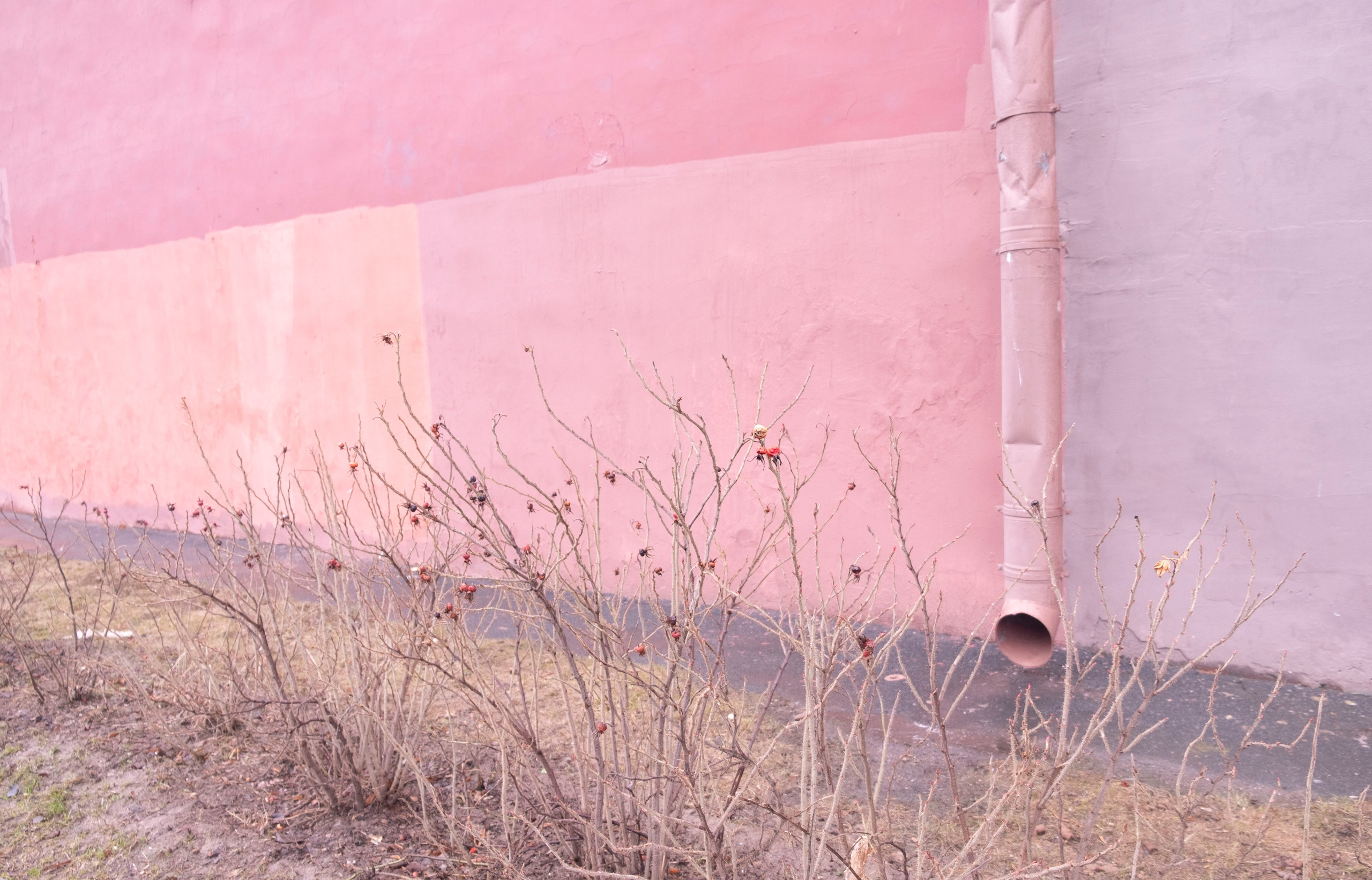 Vetvi. Коллекция