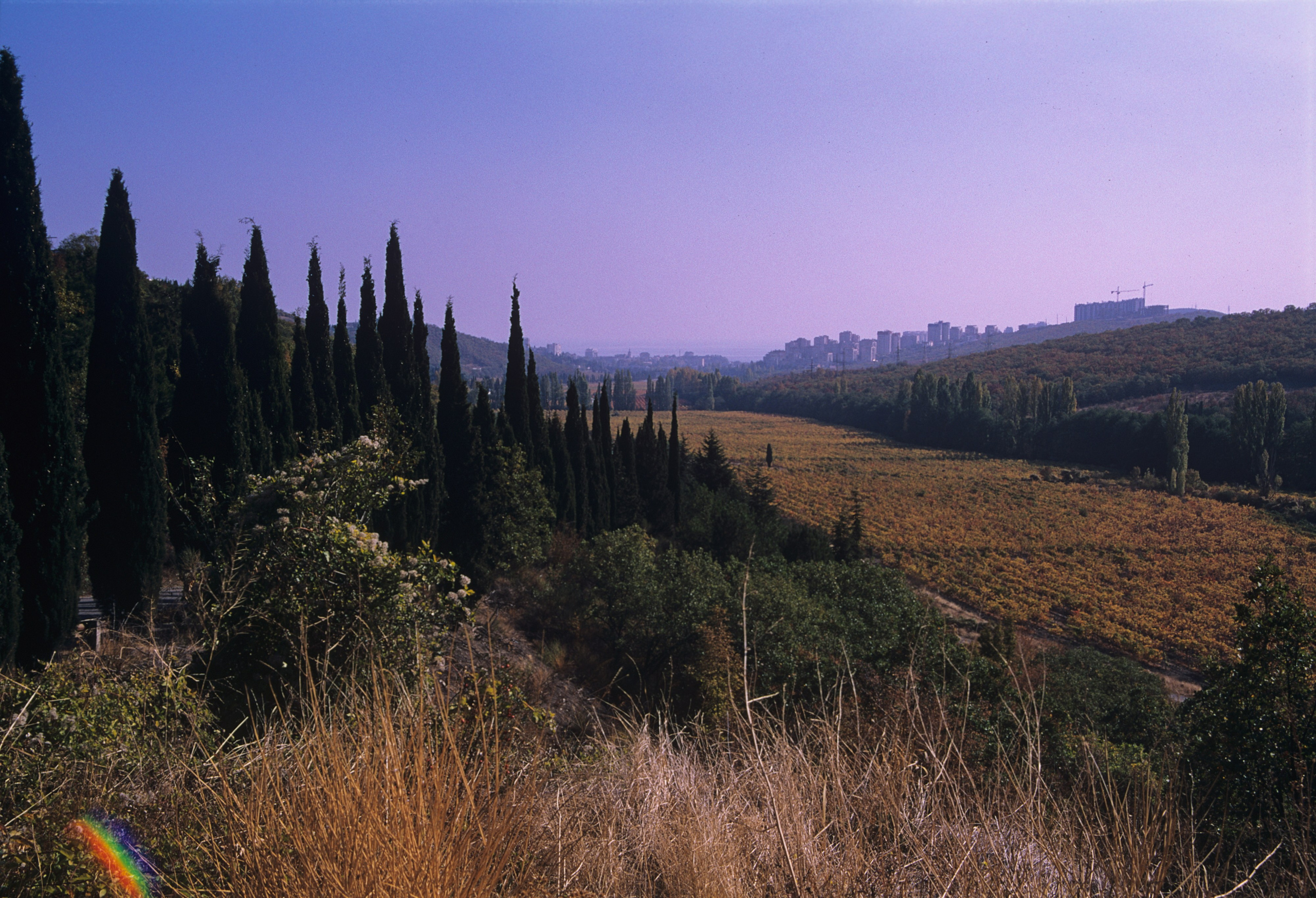 Горы и море. Фотограф в Санкт-Петербурге Березовский Даниил