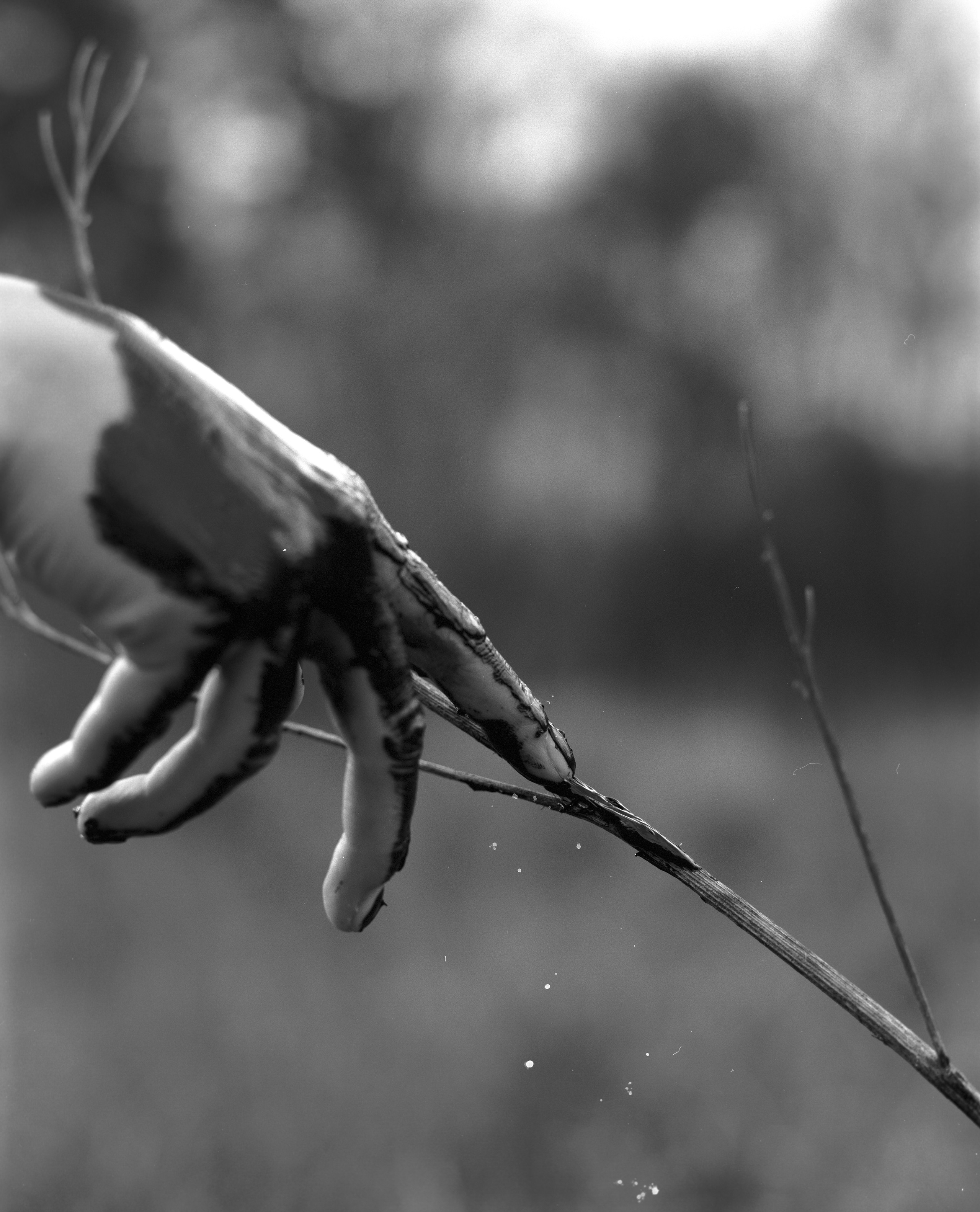 Прикосновение. Фотограф в Санкт-Петербурге Березовский Даниил