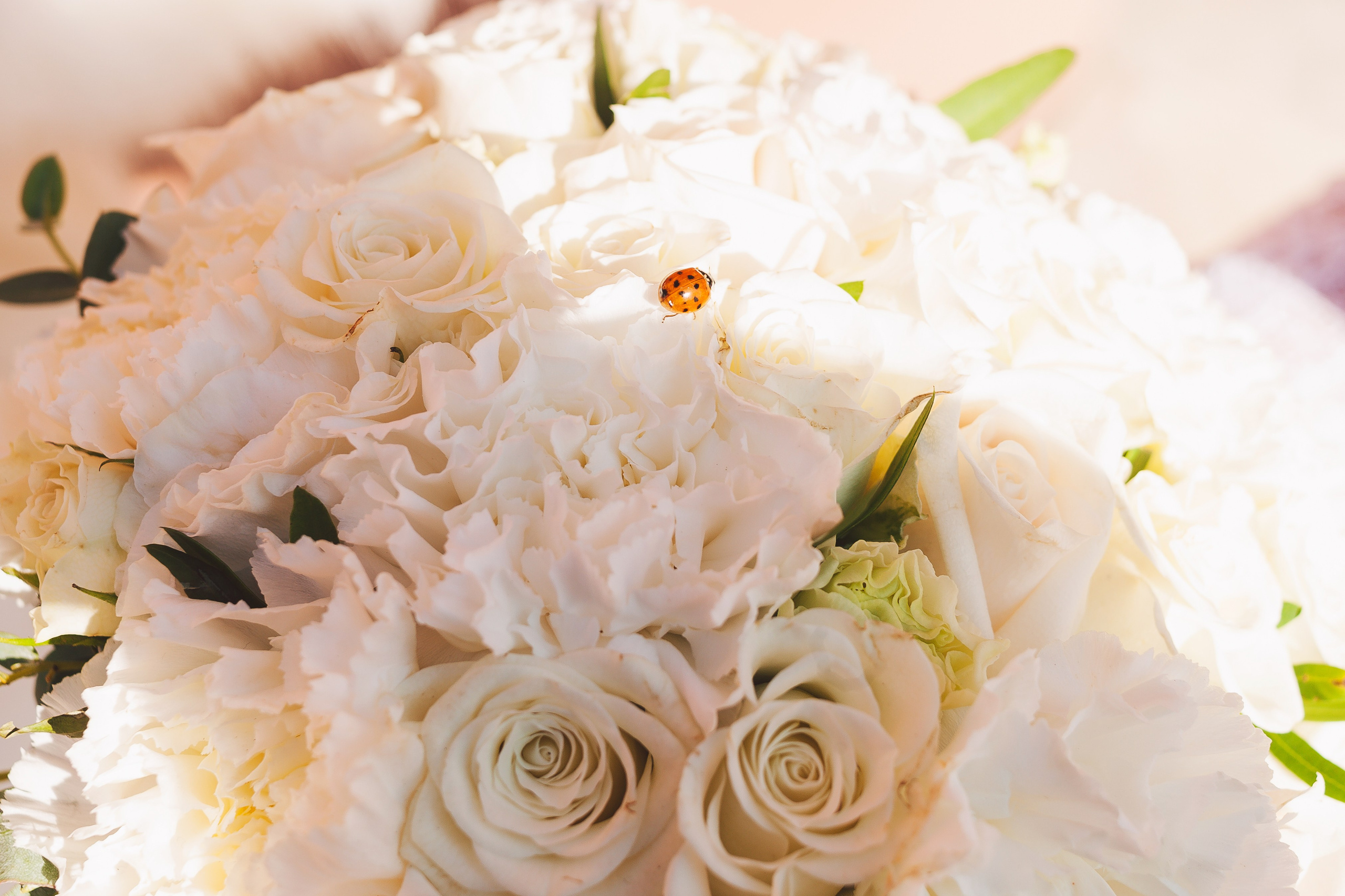 🖤. Екатерина Королева. Фотограф. Хабаровск