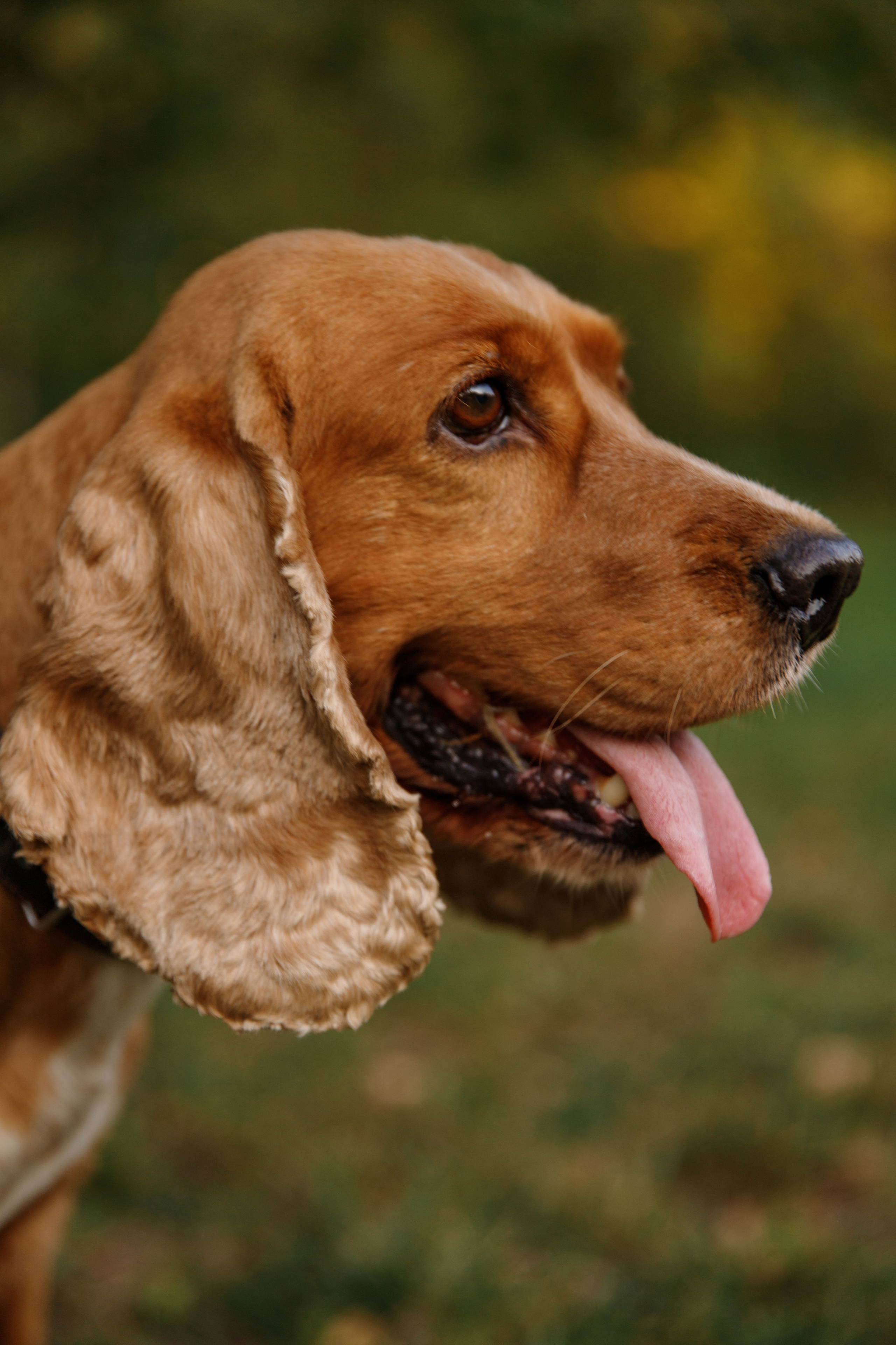 Фотосессия мамы с дочкой в парке Мещерский. Фотограф Александра Сыщенко